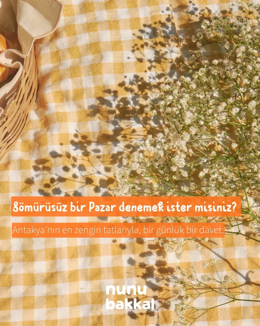Sömürüsüz bir Pazar denemek ister misiniz? 🌿
Nunu Bakkal'da her ürün, hiçbir canlının sömürülmediği bir dünya hayaliyle seçiliyor. Peki neden?
Çünkü hayvanlar, bizim için var olan kaynaklar değil; kendi yaşamlarının öznesi olan canlılar. Bir veteriner hekim olarak yıllarca gördüm: acı çekme, korku duyma, yaşama isteği duyma kapasiteleri bizimkinden farksız. Onları bir üretim aracına dönüştüren şey, doğaları değil; kurduğumuz sistem.
Bu sistem sadece hayvanlara zarar vermiyor. Hayvancılık, iklim krizinin en büyük tetikleyicilerinden biri; ormanların yok edilmesinde, su kaynaklarının tükenmesinde başrolde. Yani sömürüsüz bir sofra, sadece bir canlıyı değil; bir toprağı, bir suyu, bir geleceği de koruyor.
Ama işin en güzel yanı şu: Bu topraklar zaten bunu biliyordu. Zeytinyağına batırılan zahter, nar ekşili fattoush, çıtır falafel ve humus... Antakya mutfağı yüzyıllardır sömürüsüz sofralar kuruyor. Yani vegan yaşamak, yeni bir şey icat etmek değil; zaten bildiğimiz sofralara geri dönmek.
Bu bir deneme değil; iyilik yolunda bir adım. Bir seçimle aynı anda bir hayvanı, bir ormanı, bir suyu, tüm canlı yaşamını koruyabildiğimiz o nadir anlardan biri. 🤍
Sofranıza eşlik edecek her şey: nunubakkal.com
#nunubakkal #sömürüsüz #vegan #antakya #veganmutfak