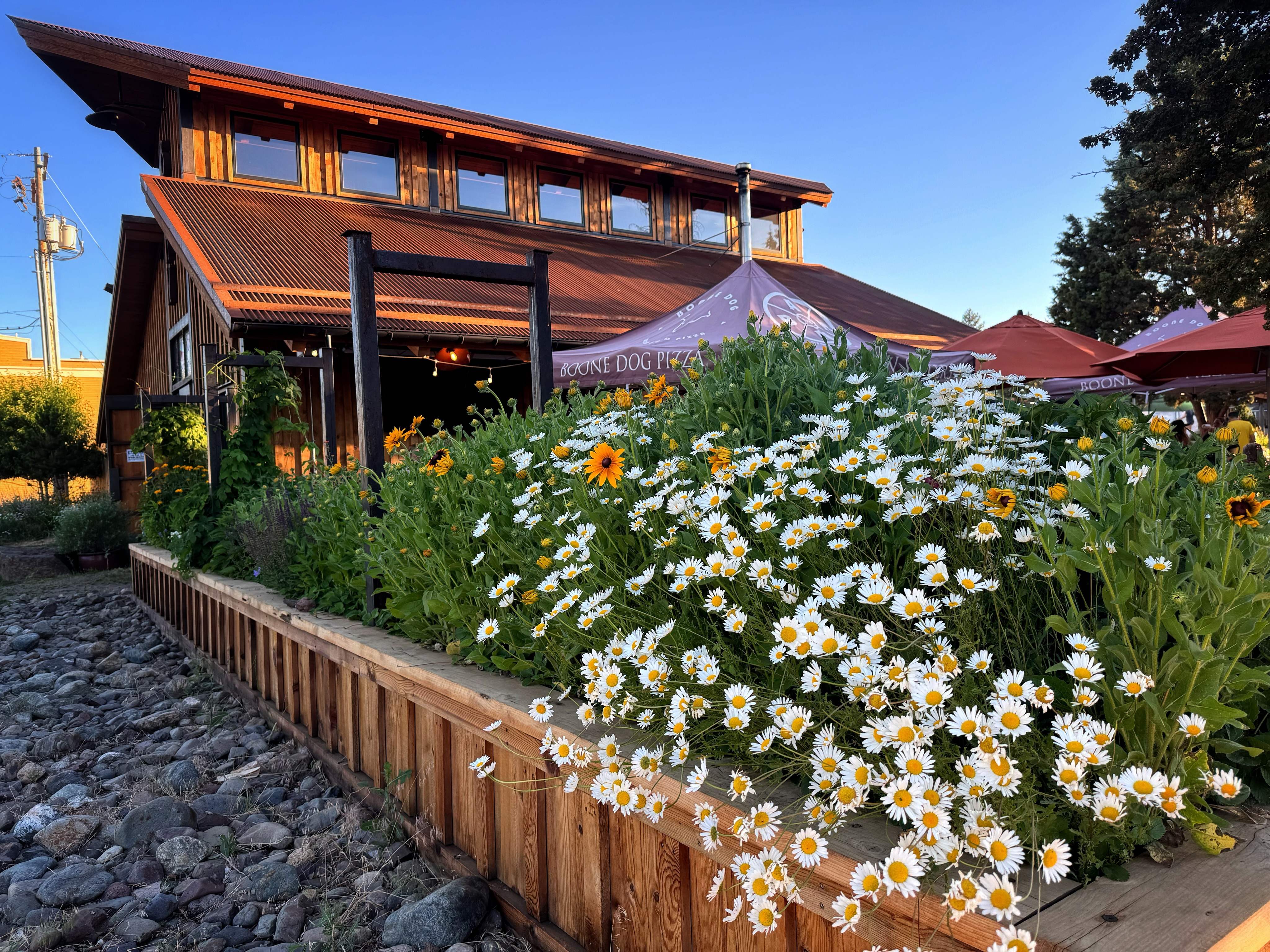 We have clear skies in Sisters & thankful hearts to all the firefighters working hard to keep Central Oregon safe. If the skies remain clear, we’re set to have one heck of a party here tonight with Funk Around & Find Out @fafo_band playing The Barn stage from 6-8 PM. Grab your friends & come on down.
