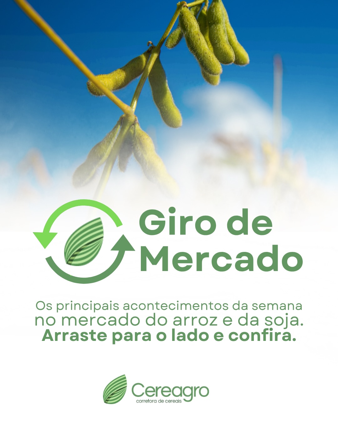 Arraste para o lado e confira os principais acontecimentos da semana no mercado de arroz e soja.