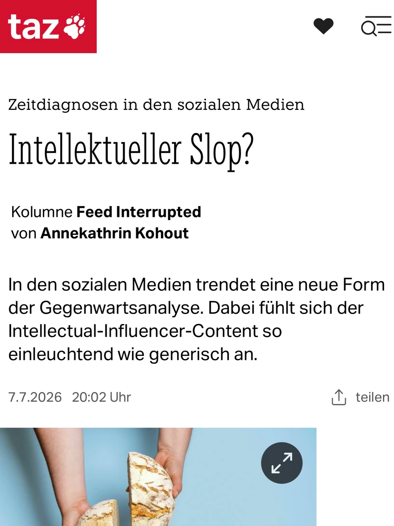 public intellectual 2.0