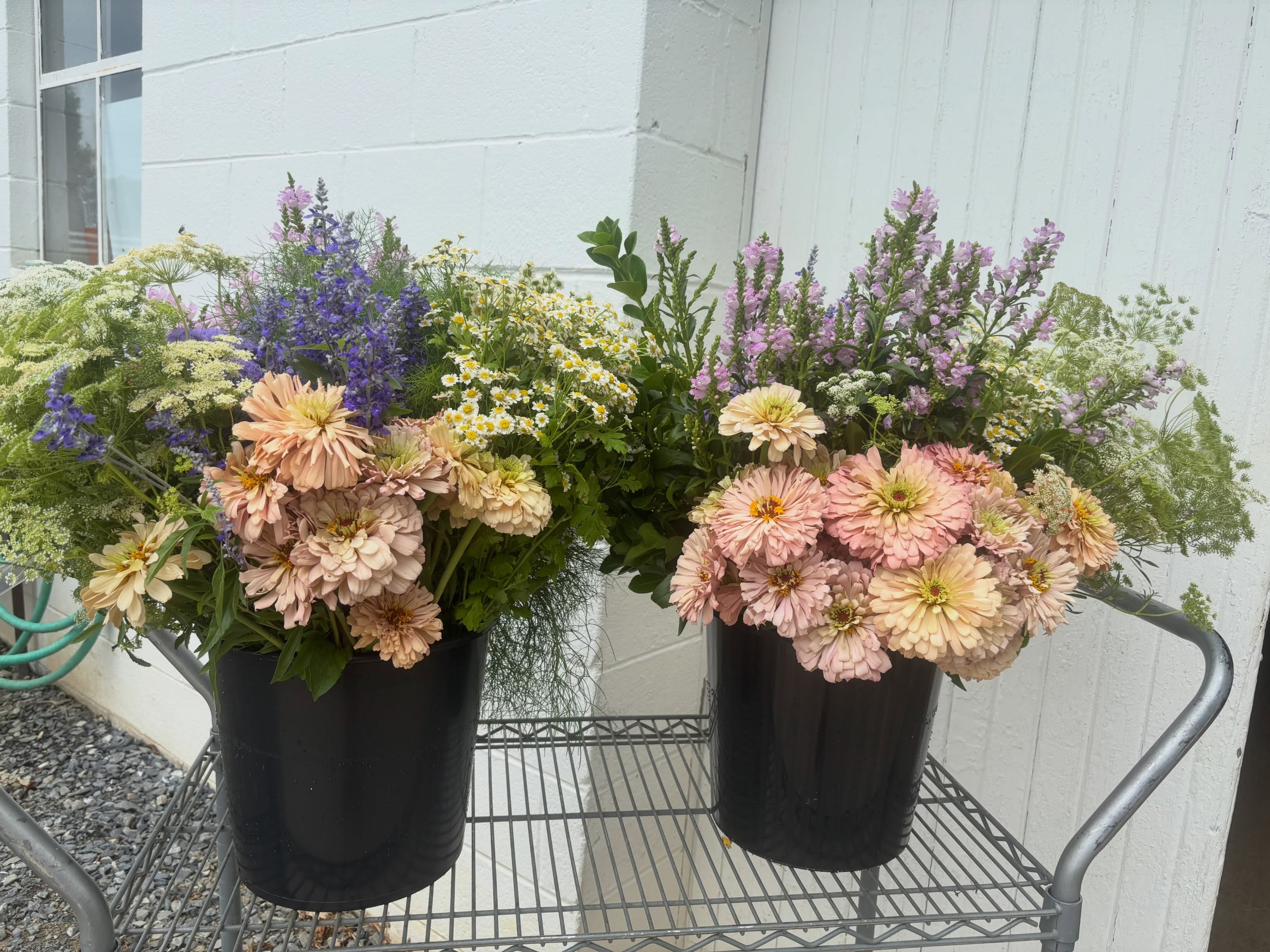 Rainbow of summer.