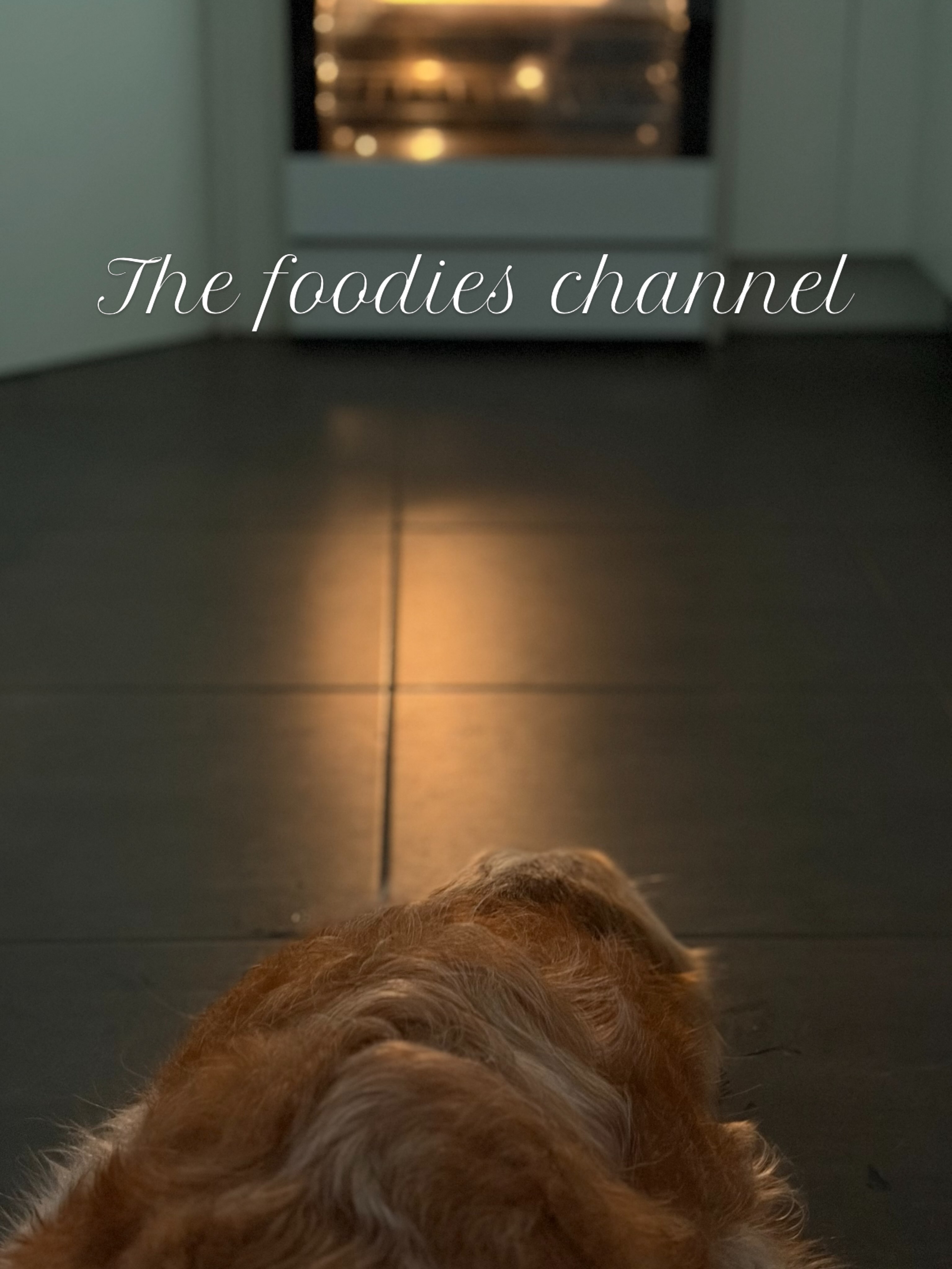 Sunday chill watching the foodie channel 🤣
#sunday #foodies #goldenretriever