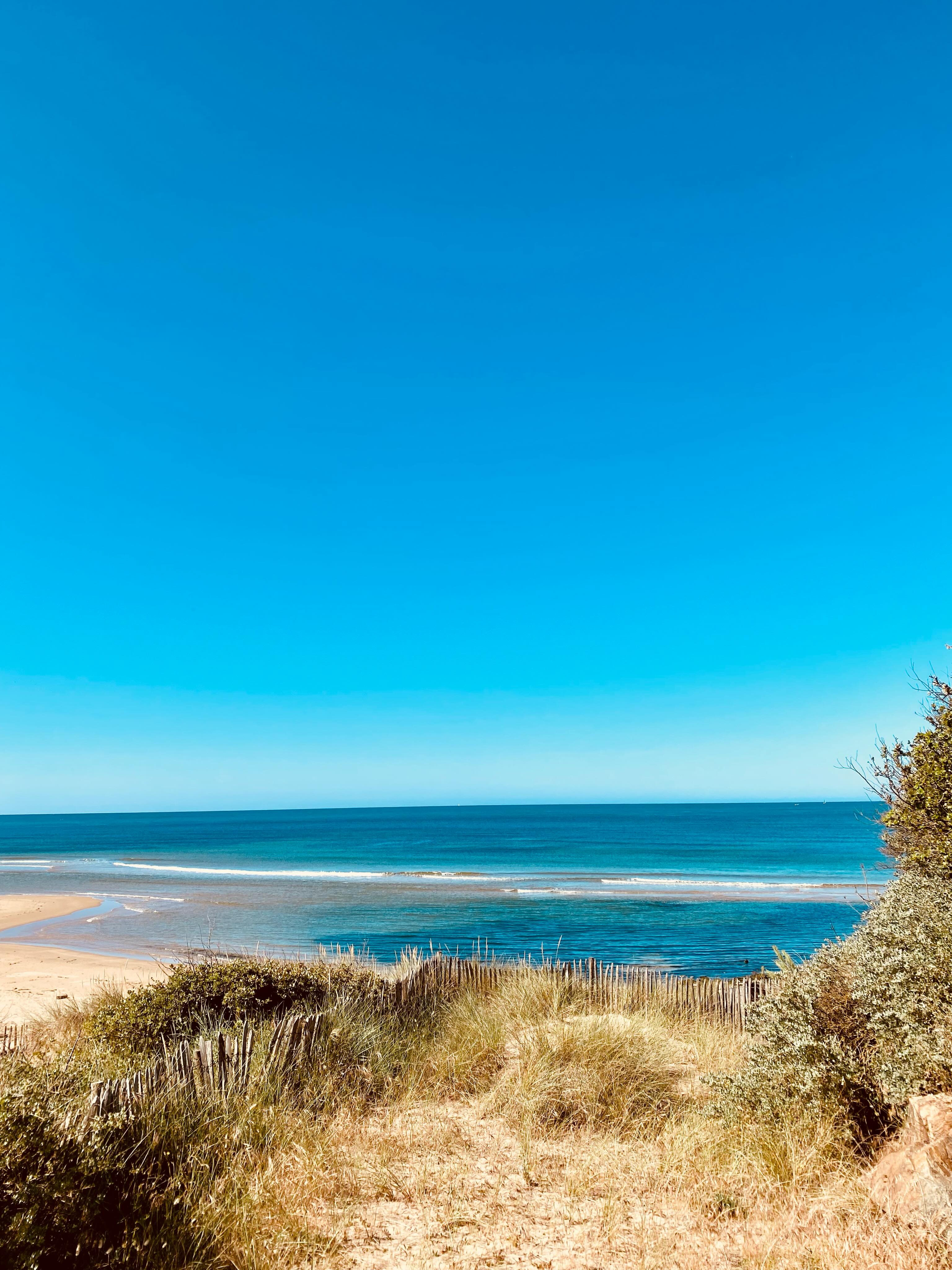 Encore une belle semaine annoncée 😻 !
Pensez à réserver votre sortie sur www.paddleaventure.fr
#veillon #talmontsainthilaire #vendee #lessablesdolonne #ocean