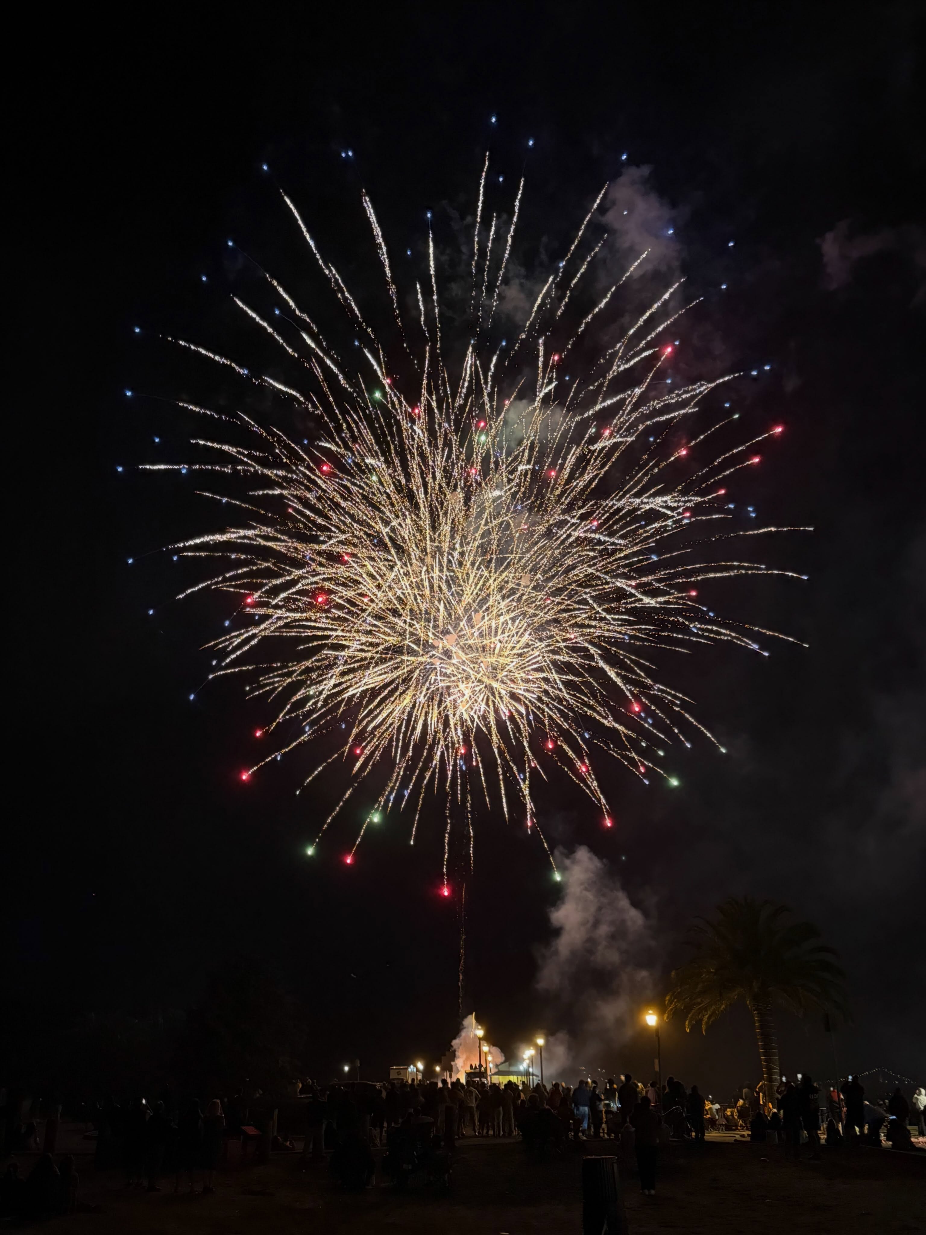 Congratulations to fundraising team Light up Benicia who raised $3,780, and to second place team Transactional Love Podcast Team who raised $1,693! Thank you to everyone who donated! The community really came together to help make this happen!