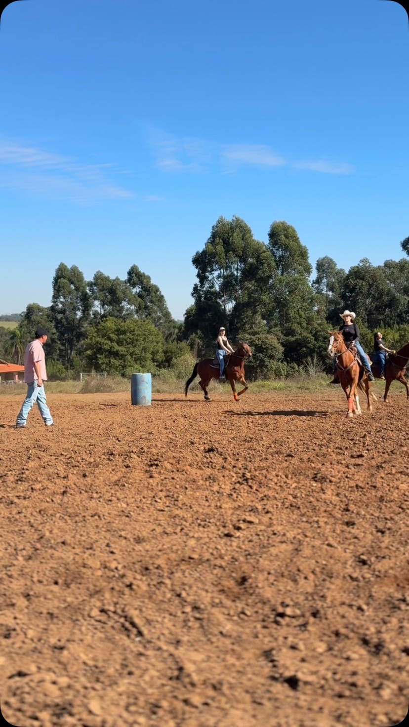 🐎 Você não precisa nascer no mundo do rodeio para aprender Três Tambores.
Aqui, cada aula é uma oportunidade de desenvolver técnica, equilíbrio, confiança e uma conexão única com o cavalo.
Seja para competir ou simplesmente viver a emoção desse esporte, nossas aulas são adaptadas ao nível de cada aluno, sempre com segurança, respeito ao cavalo e acompanhamento de profissionais.
No Haras Vale das Pedras, formamos muito mais do que competidores. Formamos cavaleiros preparados para evoluir a cada treino.
🔥 As vagas são limitadas!
📍 Itupeva/SP
📲 Agende uma aula experimental pelo WhatsApp: 11 99353-0816
Marque aquela pessoa que sempre fala que tem vontade de montar, mas ainda não deu o primeiro passo. 🤠🐎
📽️ @by_camilaalves
#HarasValeDasPedras #TresTambores #3Tambores #BarrelRacing #Equitação