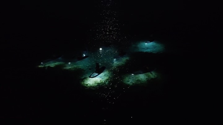 Our Signature Sunset Tour in Puako is more magical under a full moon π #nextlevelhumanexperience #paddlepowerpowersnature #nightpaddling #paddleboarding #oceanlife