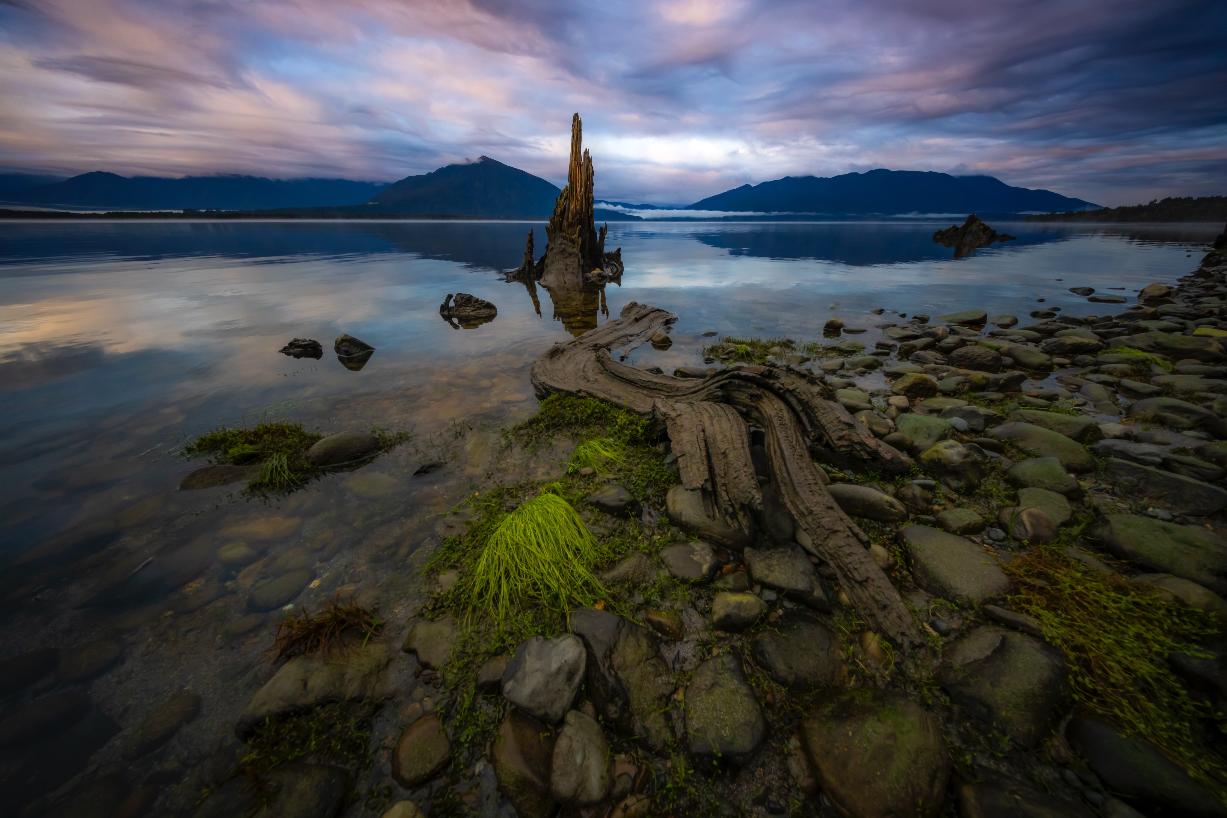 Even the dead are photogenic.
#lakebrunner #nzgeo #photoswithsam #laowa10mm #landscapephotography