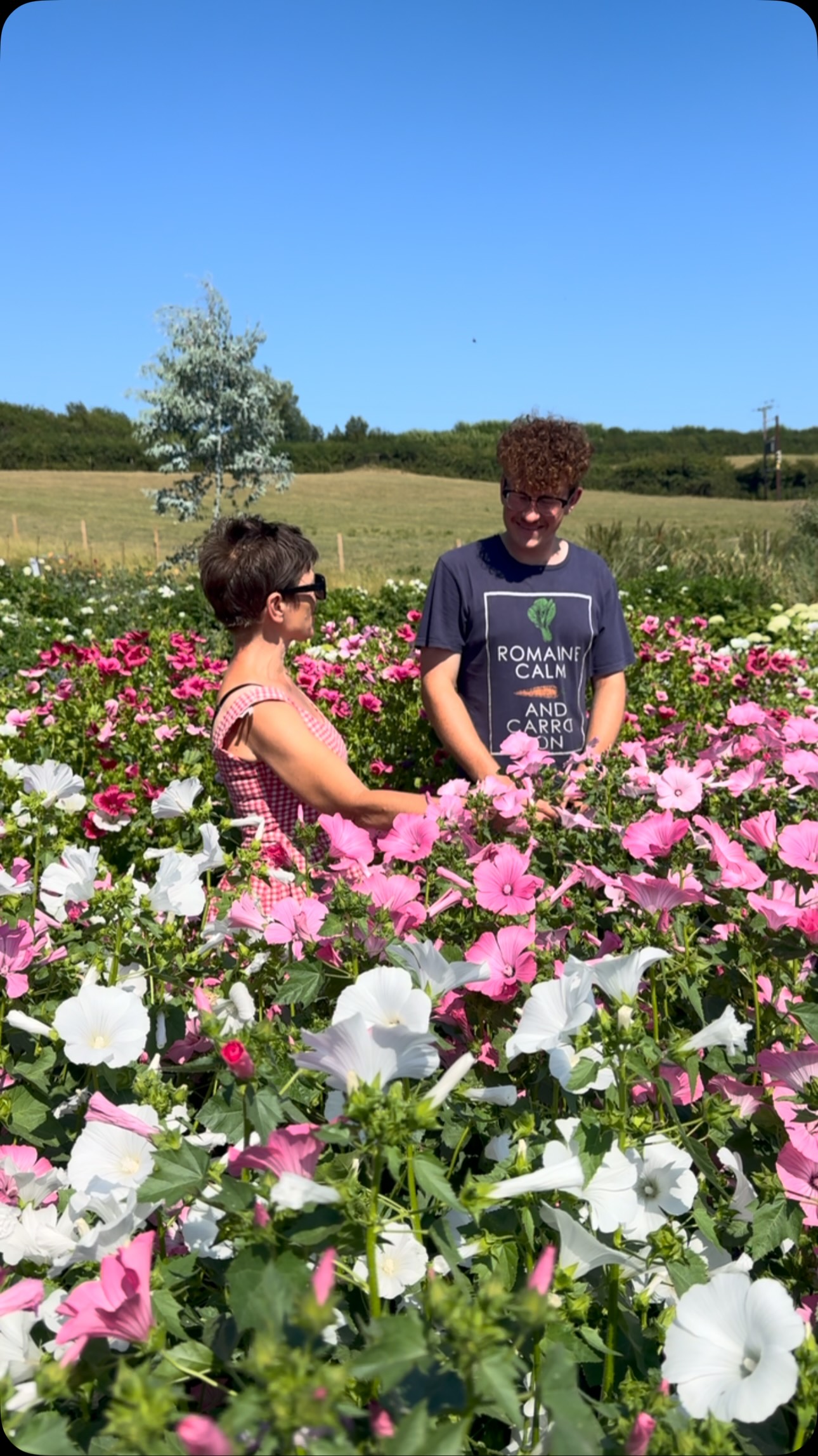Jack and Helen discus the lavatera production