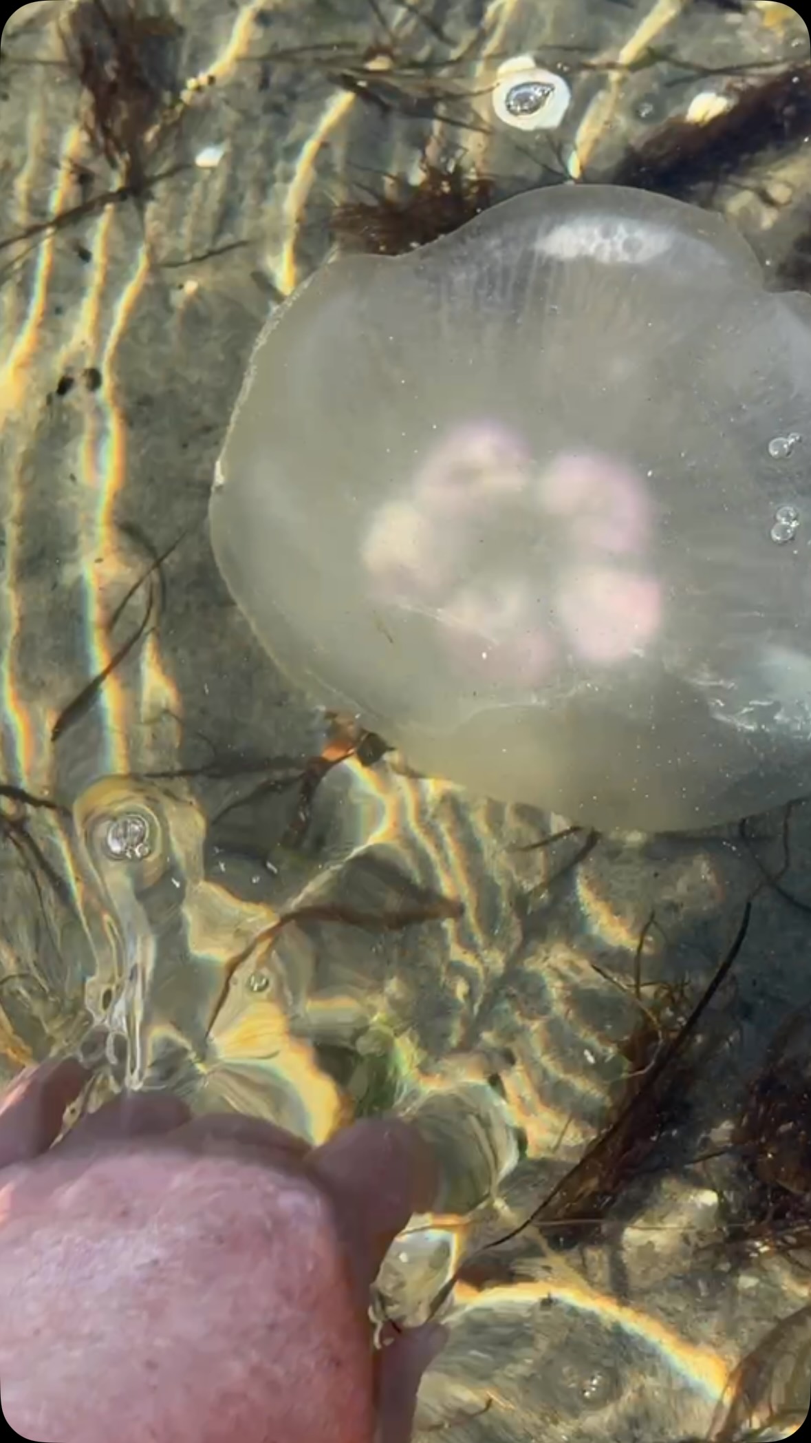 Taking today’s life advice from the ocean. Floating through Friday.