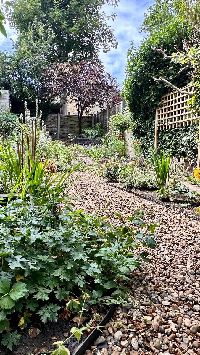 We loved bringing this neglected garden back to life. Our client wanted flowers something beautiful to look out at from their home office. After a bit of negotiation and our instance that we plant a few evergreen shrubs to ensure there was something to look at in the winter months this is the result. A cottage garden in the heart of the city, masses of colour, full of pollinators and a relaxing space to chill out in after work.