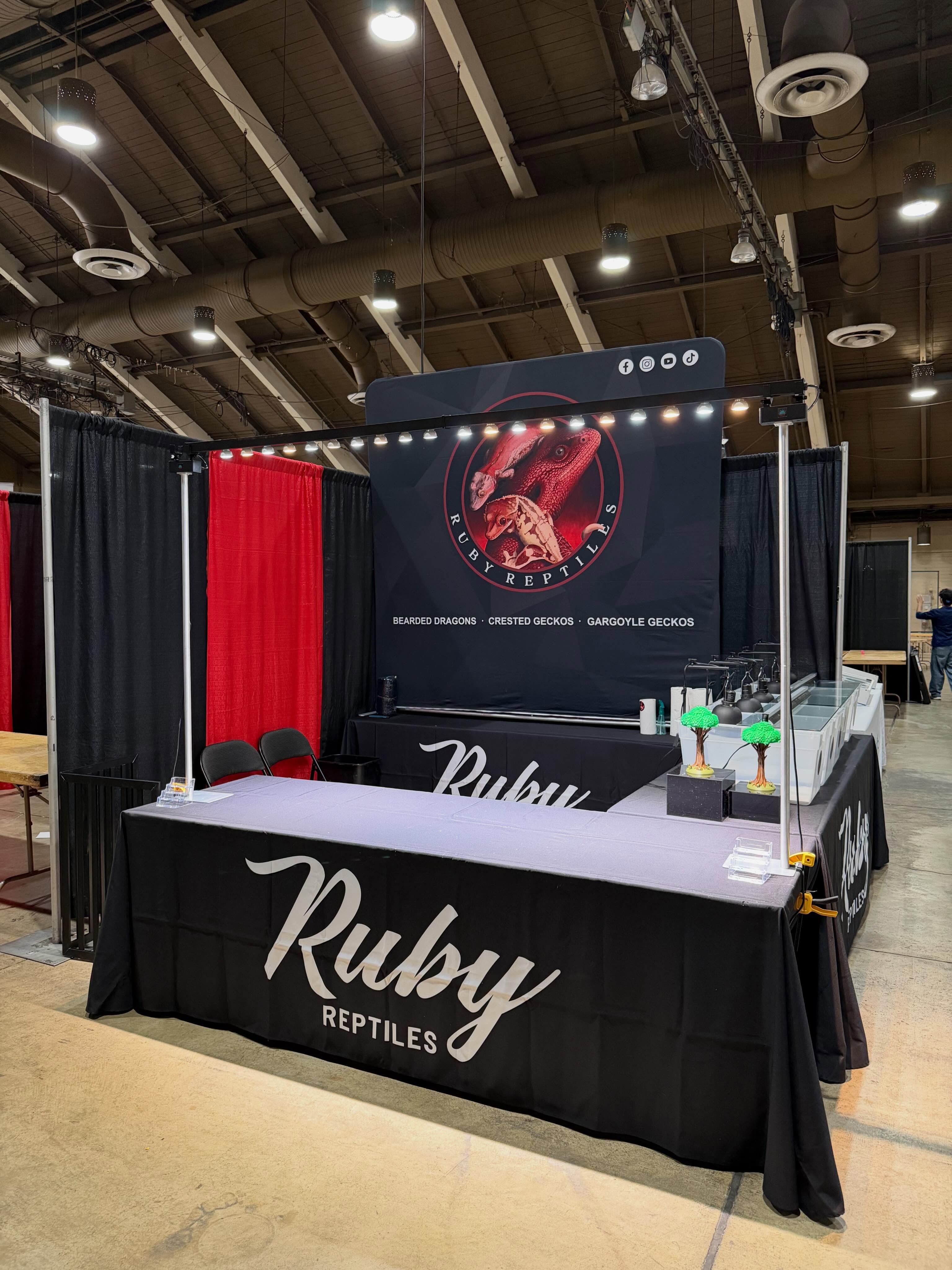 All set up for the 2026 Pomona Reptile Super Show @reptilesupershow!!
We have a variety of crested geckos and older bearded dragon adults (retired breeders).
We brought along some really nice Sables, Cappuccinos, Tri Colors, ChoCho’s, etc!
Swing by Saturday and Sunday if you’re in the area!