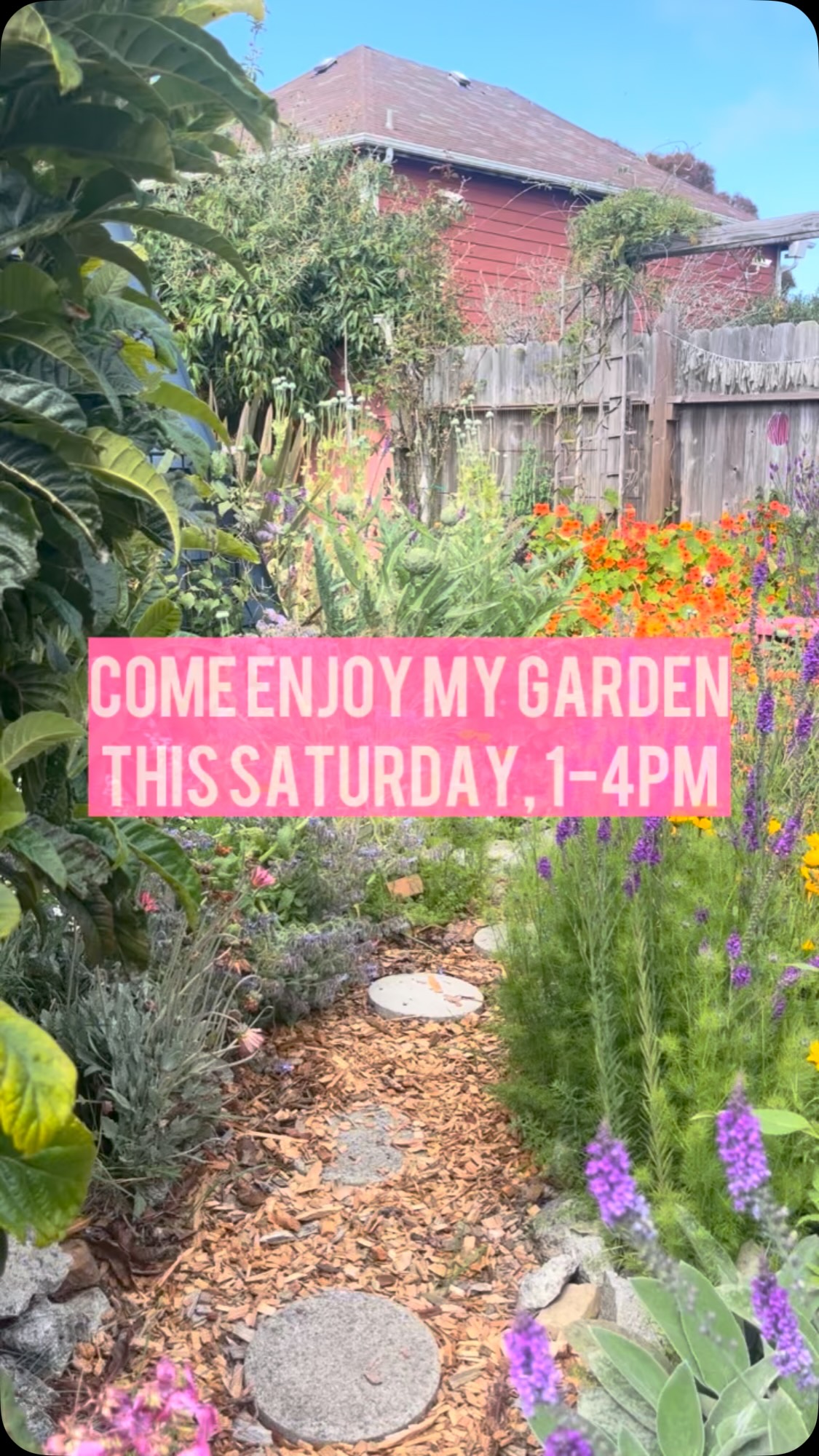 This Saturday- garden party celebrating the launch of my new coloring book! Color, lay in the grass with your friends, tour the garden!
1-4pm
1335 Williams Street, Eureka
.
.
.
#garden #coloringbook #summer