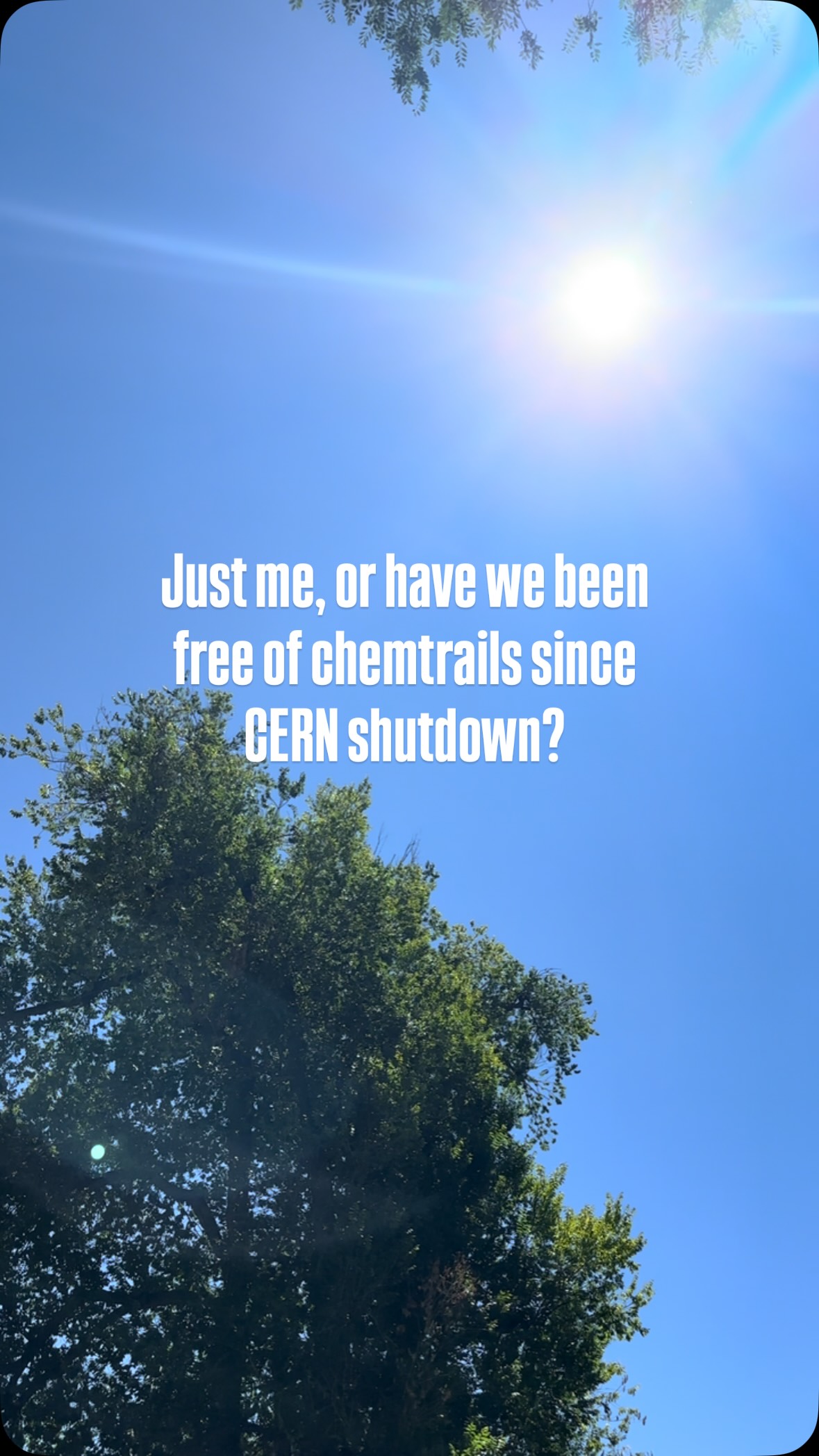 Anyone else?
I’m in the Boulder mountains… usually I see them daily. It’s been at least a week of crystal clear blue skies and we’re back to a regular afternoon thunderstorm/ monsoon season.
#cern #chemtrails #cernshutdown