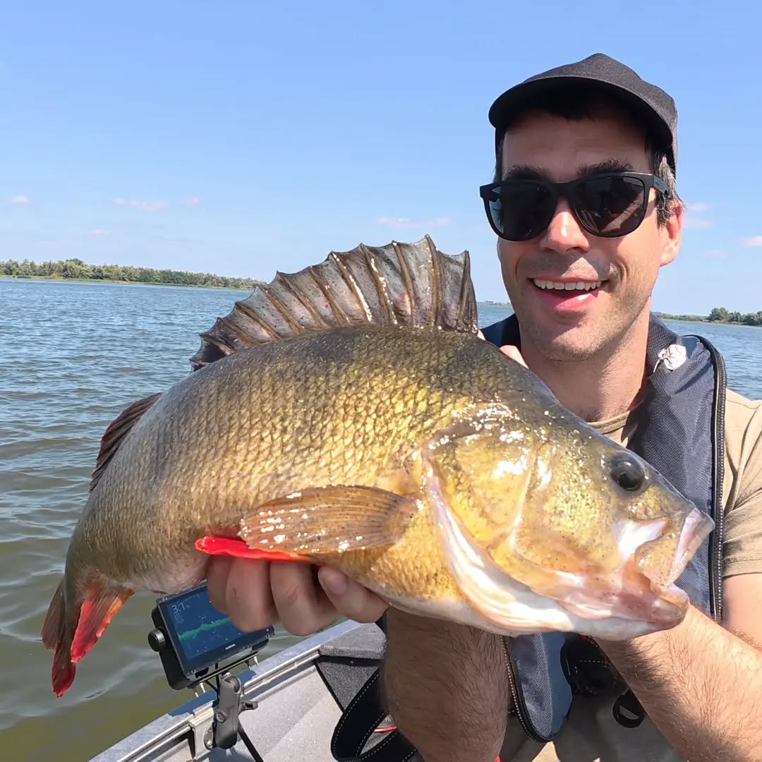 Legends Tournament Update!
We have a new number 2 on the Legends Tournament leaderboard! 🔥
Joris shook things up with an incredible 50+ cm perch, coming very close to claiming the top spot. The fish was caught on a #SPRO Iris Thrillseeker Chatterbait—proof once again of just how effective this lure can be.
What more do you need? Tie on a Thrillseeker, start fishing, and success may not be far behind!
https://en.lurefishingguide.com/legends-tournament
#yamahaprofishing #stcroixrods #proventocatch #delalandepeche