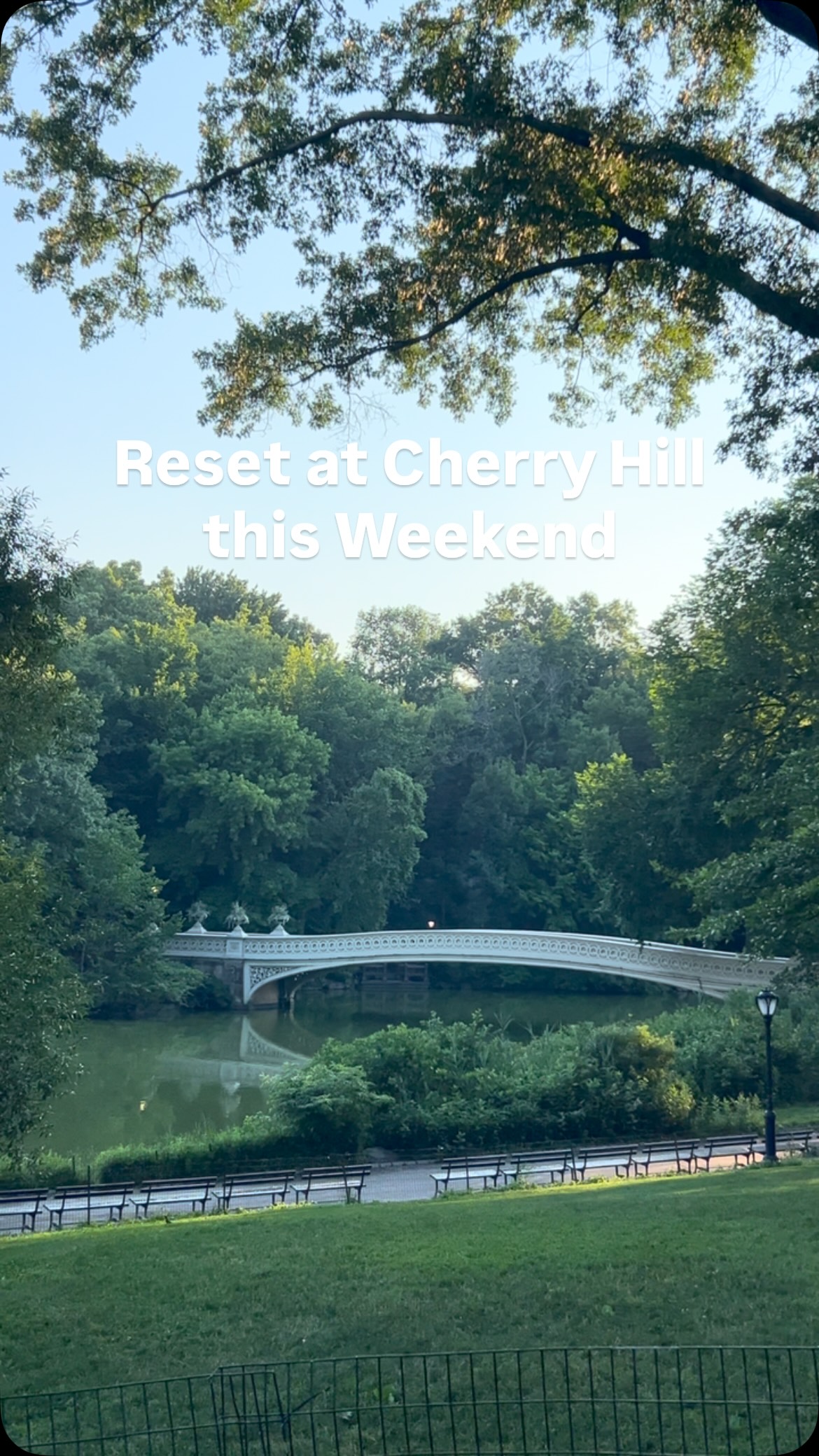 Cherry Hill is the perfect place to find stillness amidst the summer rush.
Weekend classes:
Fri 12 PM
Sat 12 PM
Sun
9:30 & 11 AM Stretch
12 PM Pilates