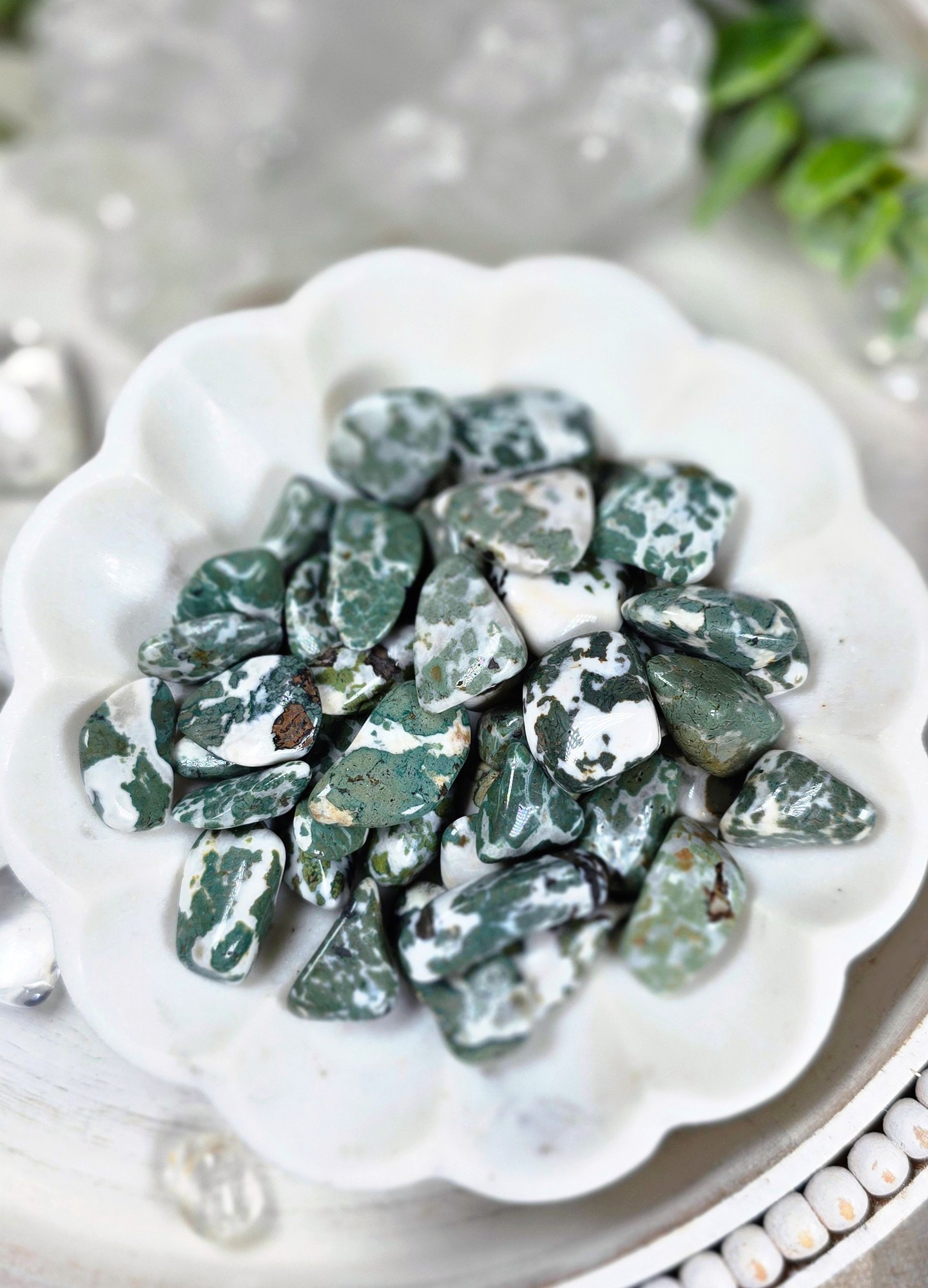 🌿 NEW ARRIVAL – Camouflage Jasper Tumbled Stones!🌿
Ground yourself with the calming energy of Camouflage Jasper! These beautiful tumbled stones feature incredible natural patterns in earthy greens, browns, and tans—each one as unique as nature itself.
Known as a powerful stone of grounding, resilience, and emotional balance, Camouflage Jasper is believed to help calm the mind, strengthen inner courage, and reconnect you with the steady, healing energy of the Earth. Carry one in your pocket, meditate with it, or keep it nearby as a daily reminder to stay centered through life's changes.
✨ Natural • One of a Kind • Under 1" Perfect for Everyday Carry
Now available in-store and online at Remnants of Magic—your favorite crystal shop near you!
www.remnantsofmagic.com
#CamouflageJasper #Jasper #RemnantsOfMagic #Grounding #CrystalHealing #HealingCrystals #Crystals #Metaphysical #CrystalCollector #CrystalCommunity #SpiritualJourney #PositiveEnergy #Meditation #NatureEnergy #EarthEnergy #RootChakra #CrystalShop #SterlingVA #ShopSmall #SupportLocal