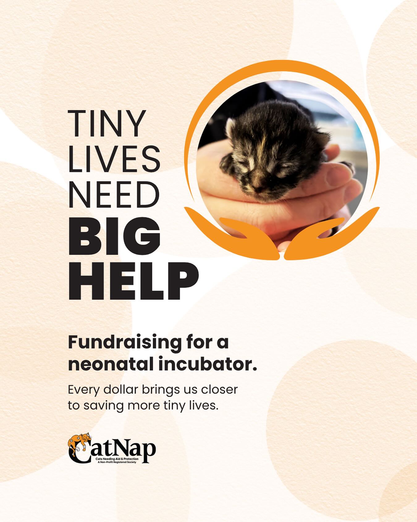 Thursday Update: We’re so close! We’re 89% of the way to our goal - with donations of $2049! If you haven’t donated yet, please help us reach our goal. If you have donated - many thanks!
Help Us Save Our Tiniest Rescues
Orphaned newborn kittens are incredibly fragile. Without their mother’s warmth, their chances of survival drop dramatically.
We’re raising funds for a neonatal incubator—a lifesaving piece of equipment that provides the warmth, humidity, and stable environment these tiny fighters need to survive and thrive.
Our goal of $2,300 covers the cost of one neonatal incubator. Every dollar brings us one step closer to giving the most vulnerable kittens a chance they deserve.
Please donate if you can. Together, we can save the smallest lives and give them the future they deserve.
Even if you can’t donate, please share this post to help us reach more people. The link to donate via Canada Helps can be found on the CatNap IG profile page.