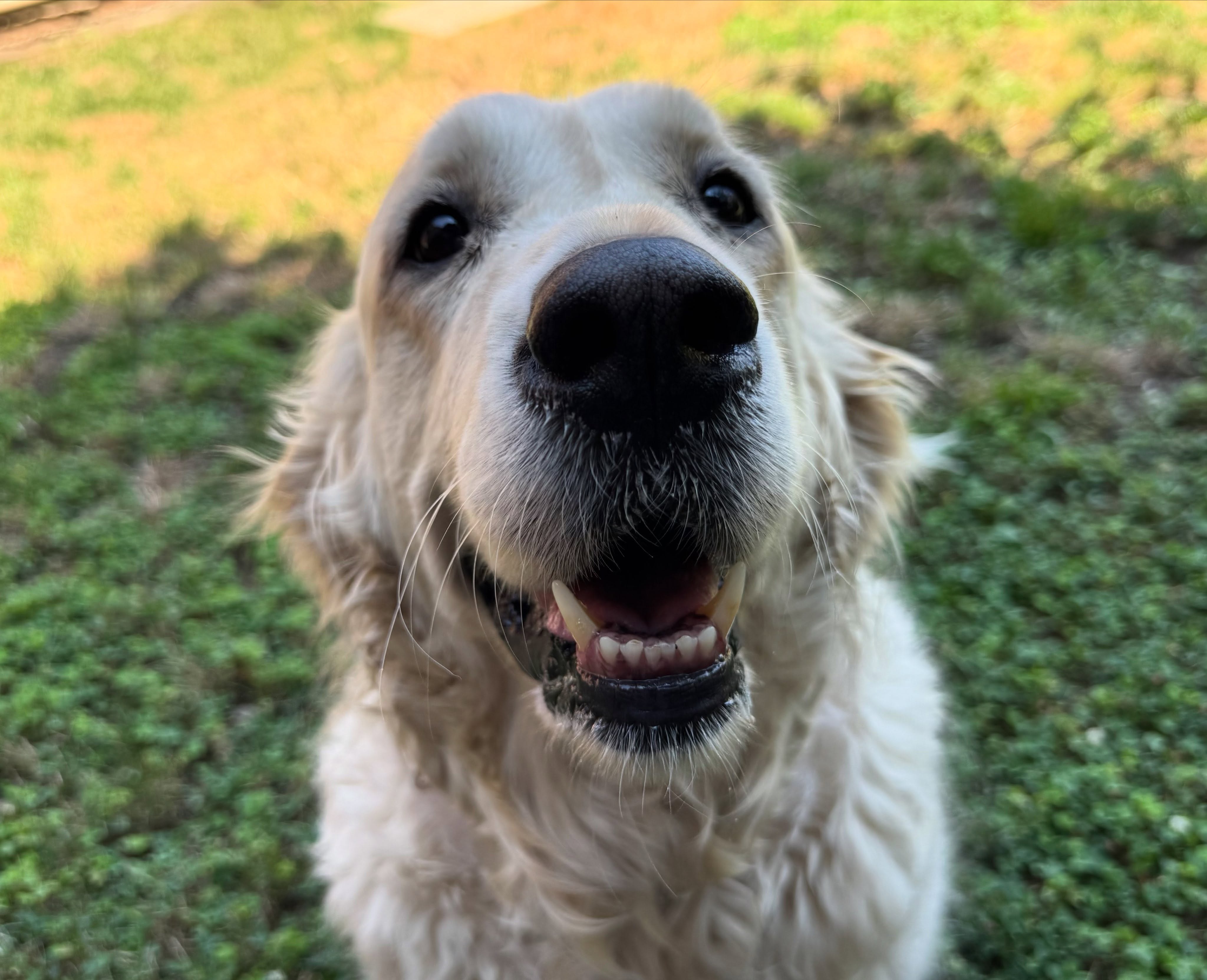 Molly!
