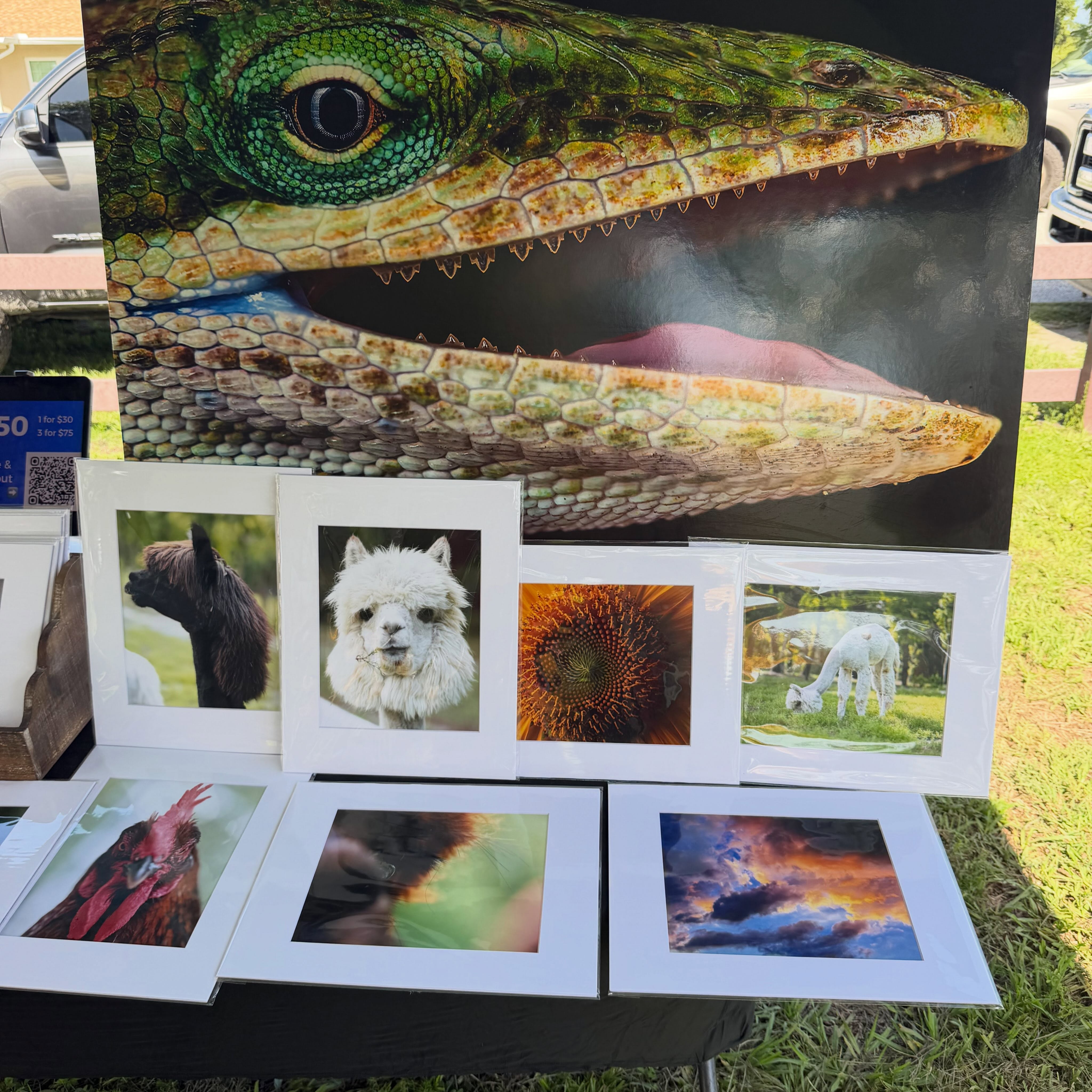 Incredible local photography for sale today at the market!!! πΈ