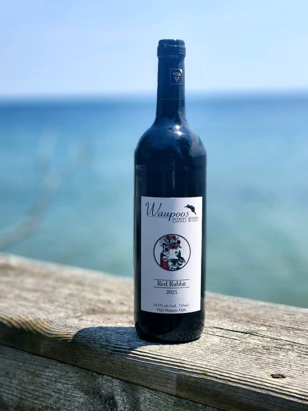 A familiar favourite is back.
Our 2025 Red Rabbit is here!
This full-bodied blend of estate-grown Baco Noir and Syrah is packed with notes of black cherry, purple plum, cedar, and a hint of violet, finishing with subtle toasted oak and balanced tannins. It's a smooth, versatile red that's just as enjoyable on its own as it is with a great meal.
Pair it with red meats, hearty stews, mushroom risotto, classic pizza, or your favourite tomato-based pasta.
#WaupoosEstates #PrinceEdwardCounty #PECWine #OntarioWine #RedRabbitWine