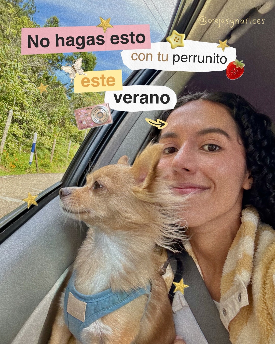 El calor puede ser muy incómodo para ellos 🐶😥🌞 así que aquí te dejo recomendaciones para mantener a tu perrunito fresco y seguro estos días ☀️🐾
Guárdalo para tenerlo a la mano y compártelo con otra mamá perruna que pueda necesitarlo 🤗❤️🐕