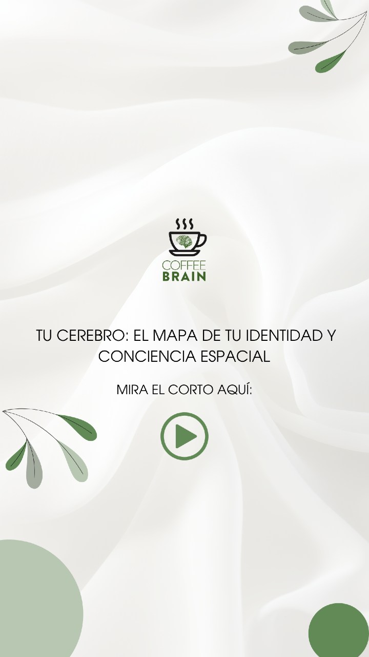 Nuestro cerebro no solo nos ayuda a reconocer quiénes somos. También nos enseña a reconocer al otro, respetar su espacio y convivir con mayor armonía.
La propiocepción es una pieza clave en el desarrollo de la conciencia corporal, la autorregulación y las habilidades sociales.
Mira el video completo en YouTube: https://youtu.be/uAaF0oDWph0
#neurodesarrollo #saludmental #coffeebrain