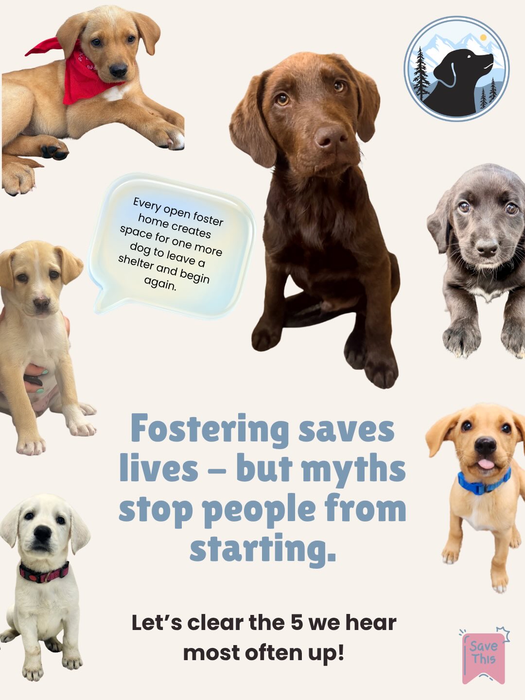 One of the biggest reasons people do not foster is not lack of love — it is fear.
Fear of getting attached.
Fear of not knowing enough.
Fear of it being too hard.
Fear of not being the “perfect” foster home.
But fostering is not about being perfect.
It is about giving a rescue dog a safe place to land, time to decompress, and the chance to be seen for who they really are.
You do not have to foster forever to change a dog’s life forever. Even a short-term foster home can help us say yes to the next Lab or Lab mix who needs us.
If you have ever wondered whether fostering might be right for you, this is your sign to learn more.
Apply to foster at mhlrm.com