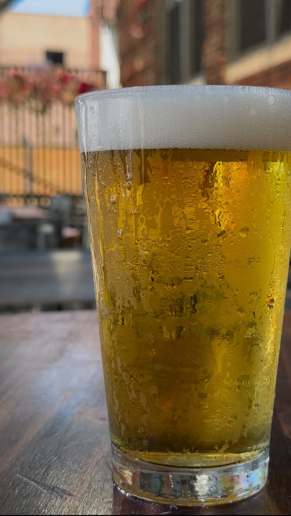 Summer is too hot, hay que aprovechar 🥵🔥
#rojogusanoravenswood #ravenswoodvibes #draftbeer #tacoandtequila #mexicancuisine