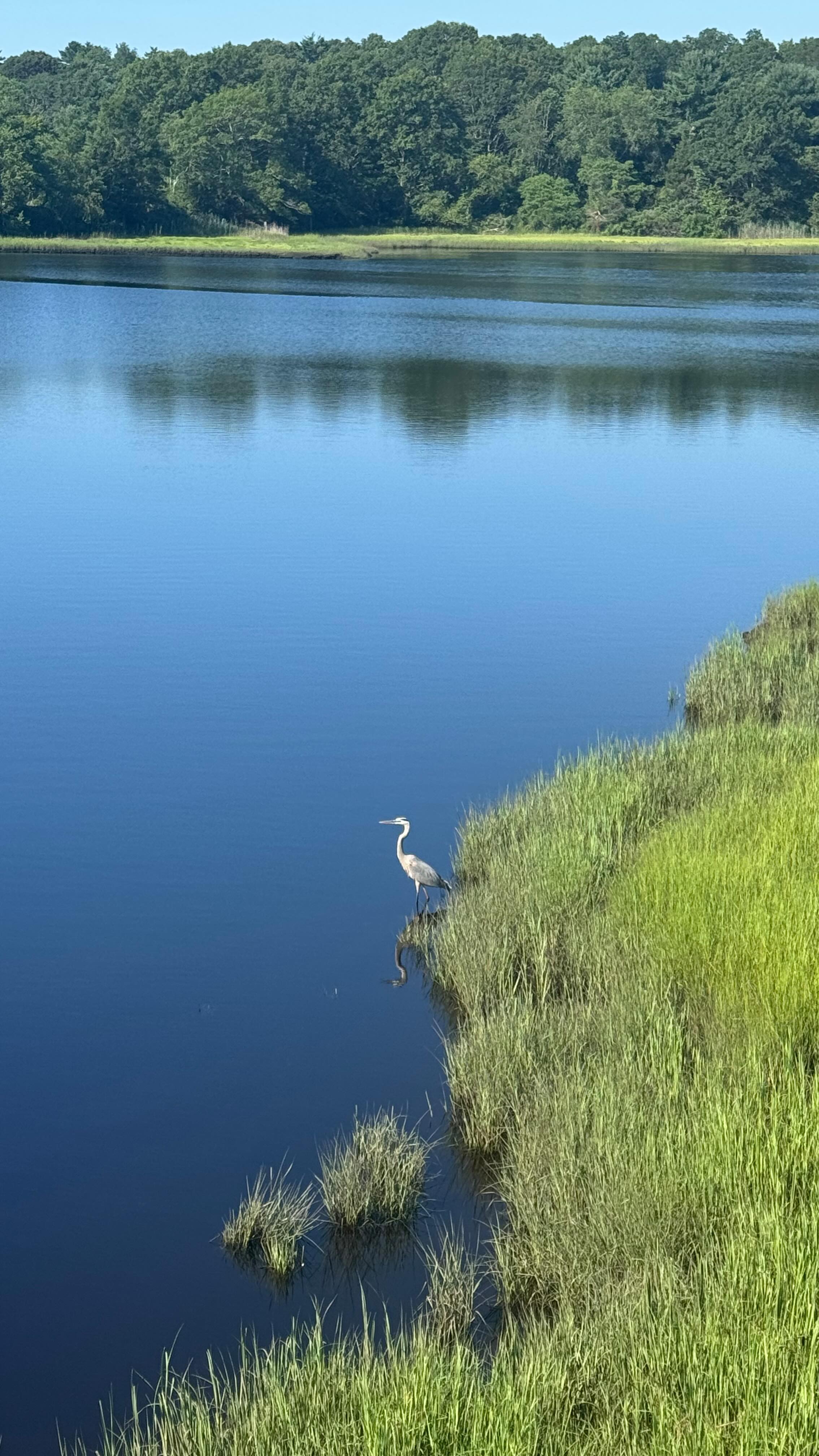 Some Sundays fill your calendar.
Others fill your cup. 🤍
Today was one of those days...
🌿 A walk on the bike path with Tyler
☕ Brunch with Todd
✨ Dreaming and planning our next Retreat with my friend Tracy
No rushing. No checking boxes.
Just connection, fresh salty air, meaningful conversations, and gratitude.
It's a gentle reminder that a well-lived life isn't built in one big moment.
It's created in the small, intentional ones.
Here's to Sundays that refill your soul. 💛