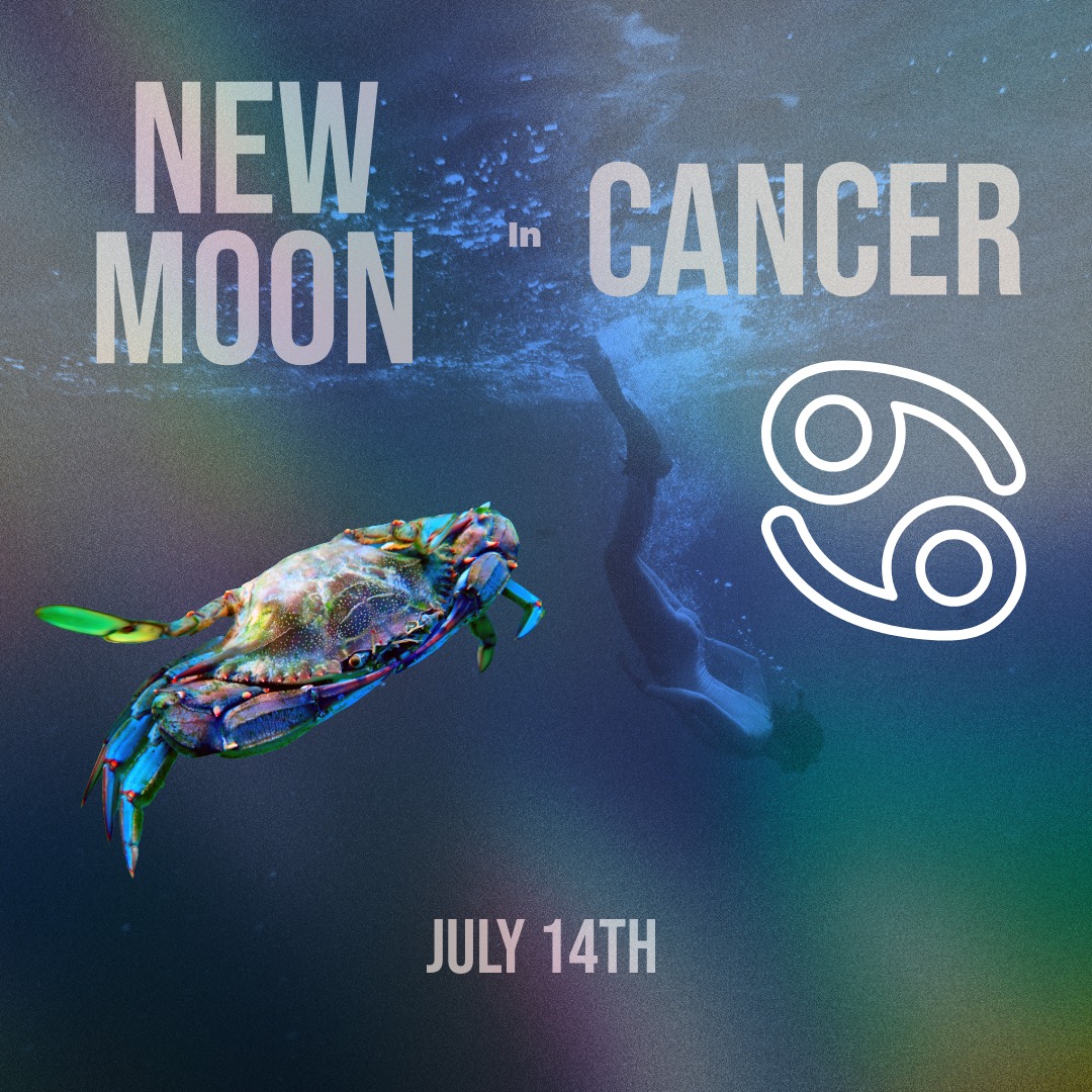 Today's New Moon in Cancer is the dark-sky pause of the lunar cycle, the moment for planting intentions. ๐
And if your summer has been a whirlwind of camps, compressed work weeks, and a million little urgent things, this Moon comes with a card: the Seven of Wands.
The Seven of Wands shows up when we're swinging at wands we can't even see. Its medicine is simple. Pause. Ask what actually deserves your fire.
Not everything urgent is important.
Tonight, all you need is ten quiet minutes, a candle, and something to write with. The full New Moon ritual is in my new Seven of Wands article, link in bio. ๐ฅ
#NewMoon #NewMoonInCancer #CancerSeason #SevenOfWands #Tarot #MoonRitual #TarotReading #TarotCommunity #SanFranciscoTarot #SeaTarot