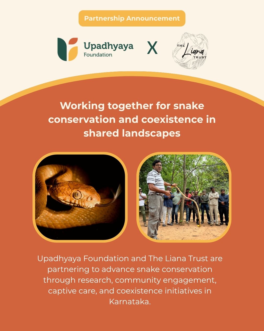 We are proud to partner with The Liana Trust for FY 2026–27.
The Liana Trust is dedicated to conserving snakes and promoting peaceful human-snake coexistence through research, community engagement, education, and landscape-level conservation. By combining scientific research with grassroots action, the organisation works to reduce conflict, protect biodiversity, and build greater understanding of the vital role snakes play in healthy ecosystems.
Through this partnership, we are supporting snake conservation and research, community awareness initiatives, improved care for rescued snakes, and infrastructure that strengthens long-term conservation efforts. Together, we aim to foster coexistence between people and wildlife while protecting India's rich natural heritage.
We look forward to working with The Liana Trust team to create safer spaces for both people and snakes, and to advance community-led conservation that delivers lasting impact.
Learn more about their work: https://www.thelianatrust.org/
#Philanthropy #SnakeConservation #Coexistence #Biodiversity #UpadhyayaFoundation