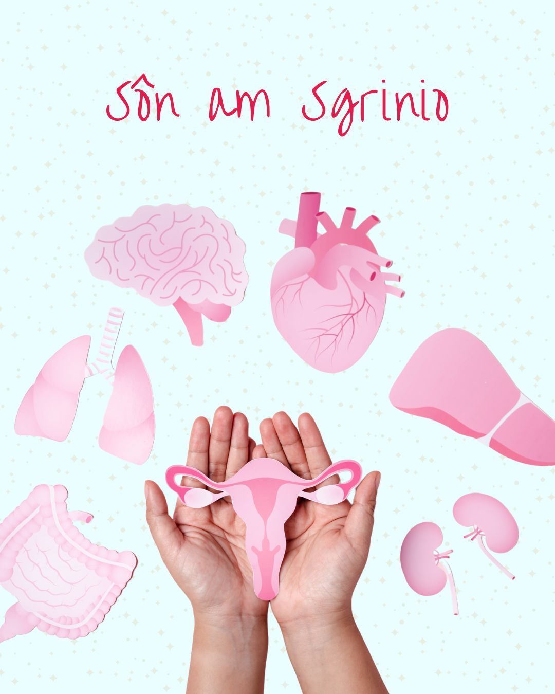 👩⚕️ Sôn am Sgrinio - Draw ar y wefan nawr!
👉 https://www.lysh.cymru/son-am-sgrinio
👉 Dolen yn y bio!