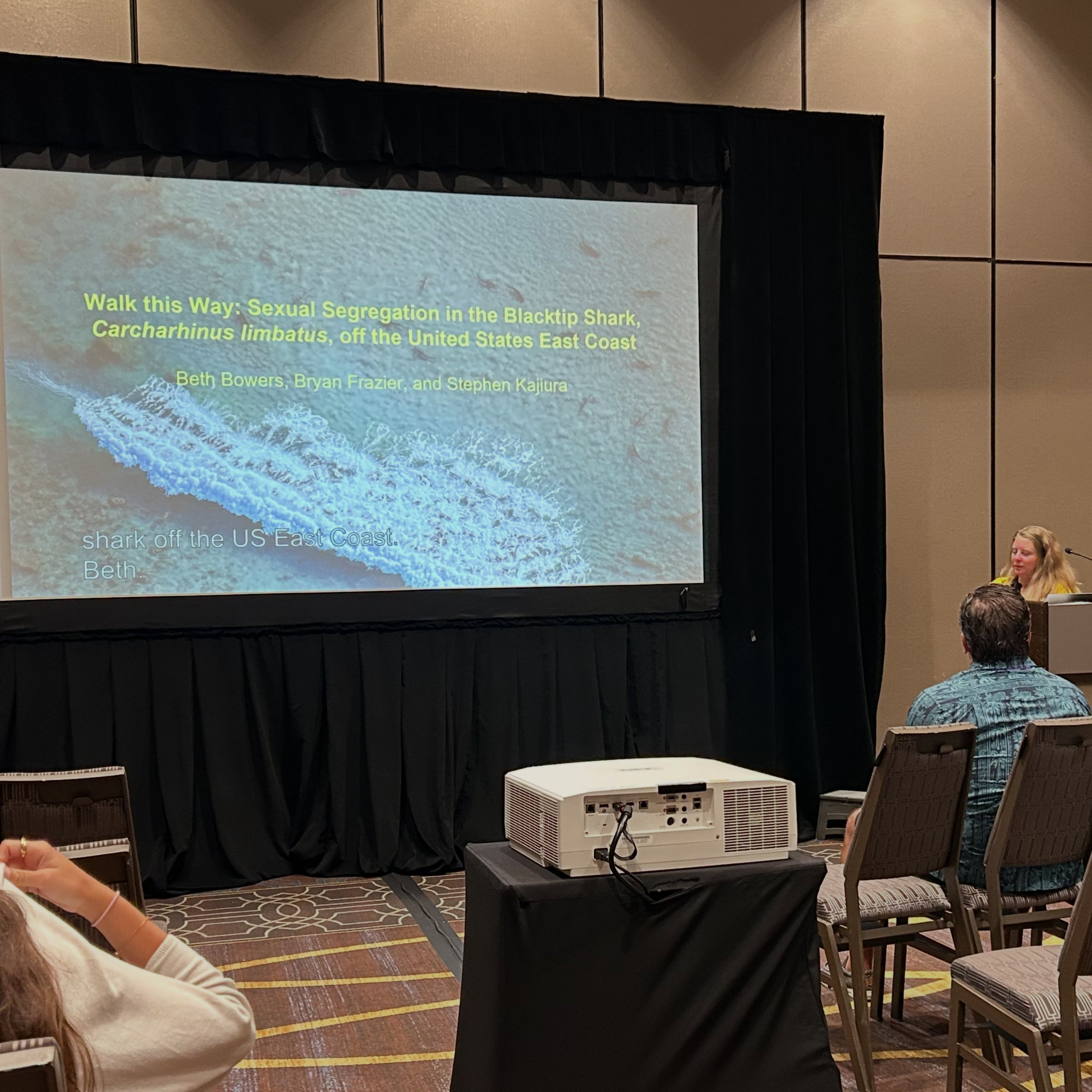 @fauscience #alumna @beth.bowers.5 continued to represent @floridaatlantic by presenting some of her #dissertation #research at the #jmih2026 #conference. She presented on the movement of female blacktip sharks along the US eastern seaboard. Very grateful to @colganfoundation for their continued support of our shark conservation research.