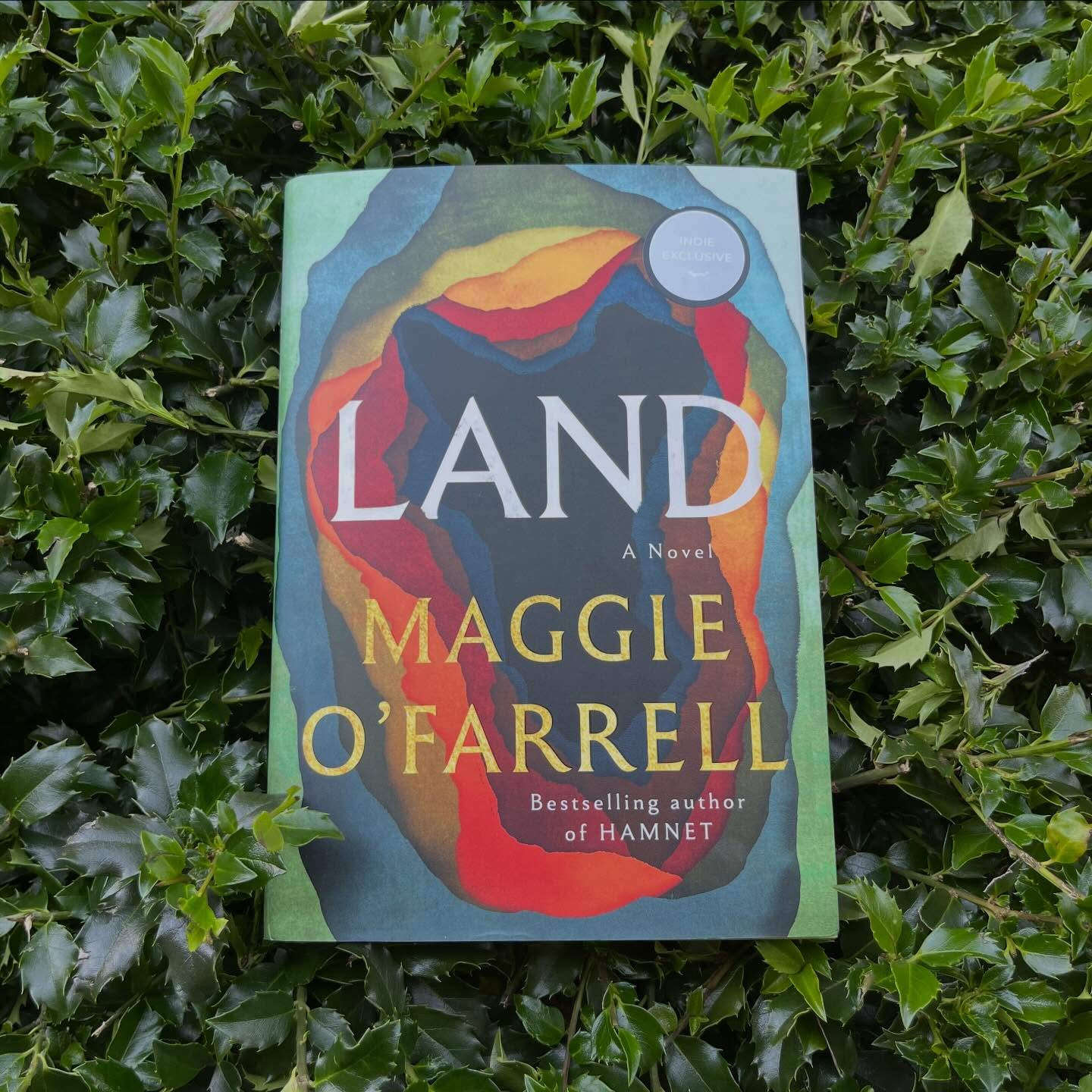 ✨My favorite historical fiction book of 2026✨ (so far)!
WOW. This confirms Maggie O’Farrell is my favorite author. I had high expectations for this book, and it surpassed them!
Legacies of trauma, wisdom in the land, Irish folklore, multiple perspectives, her gorgeous prose—it’s just stunning and so inspiring to me as a writer.
Set in Ireland (and partly India and Quebec), 1865 into the early 1900s (plus an interlude to 800 CE). This is a sweeping historical saga focused on one family, beginning about a decade after The Great Hunger (aka the Potato Famine). The Hunger had passed, but what of the people left to pick up the pieces, still living under the oppression of the British?
The opening scenes of Tomás, an Irish land surveyor under British employ, charting the western shores of Ireland (aided by his young son Liam) are mysterious, magical, and confounding.
Tomás is a man who has built such walls around memories of the Hunger, he cannot remember a thing about the before times. That is until he finds a peculiar, uncharted copse of trees hiding a sacred well. This alters his family’s life, and not in the way Tomás intended.
The ending landed brilliantly. Neither too sad, nor unrealistically happy. Perhaps, again, magical and confounding.
After finishing the book, I immediately watched some interviews with Maggie O’Farrell. I was delighted to learn that it was inspired by family lore about her own ancestors.
This story was of personal significance to me. My great-great-grandparents were part of the massive Irish emigration during this time. Researching Irish genealogy often feels like hitting your head against a wall. This made me understand why a little more viscerally.
This hardback copy is an Indie Exclusive from @offbeatbooksatl
HAVE YOU READ IT YET?? Let me know your thoughts!
