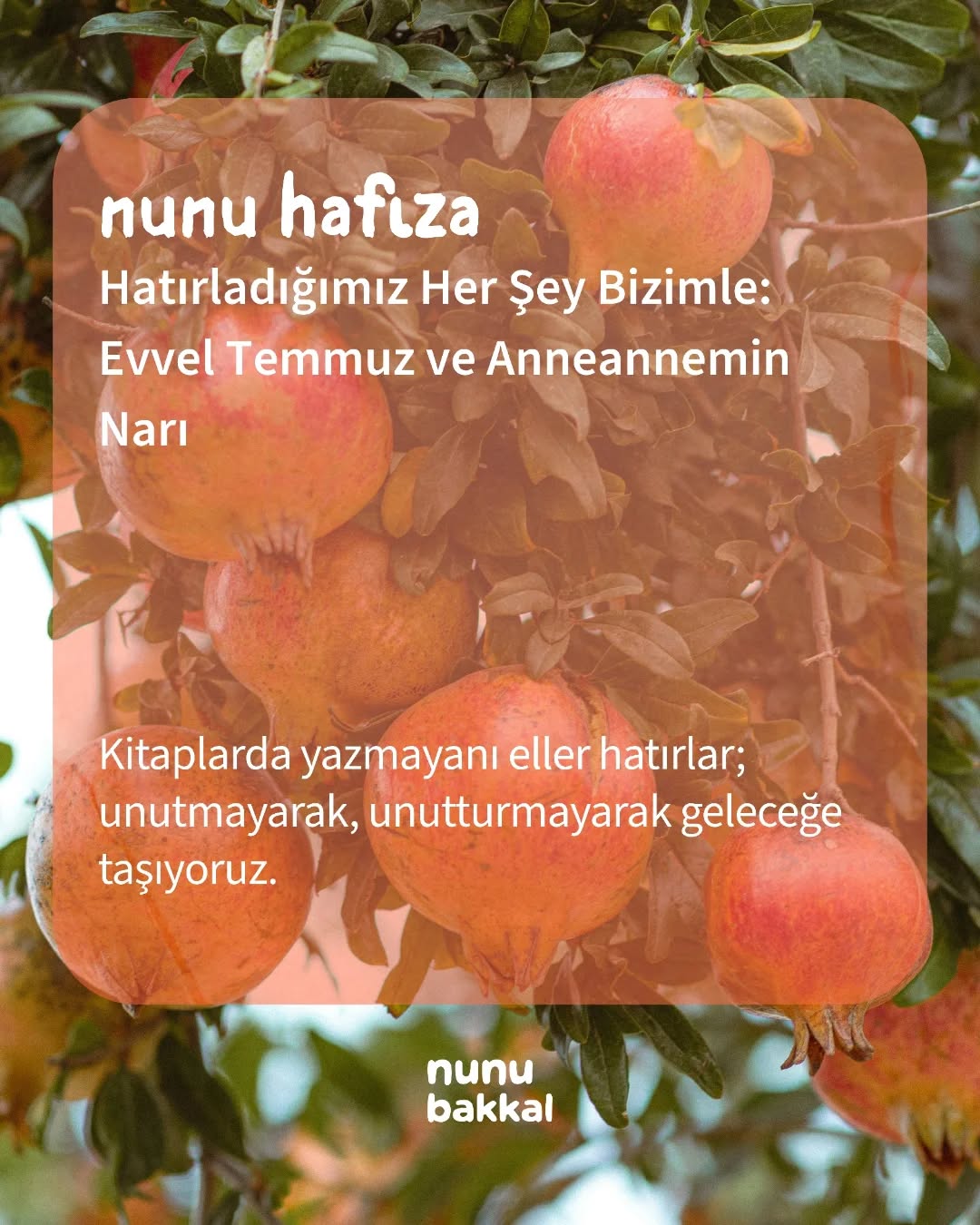 Bugün Evvel Temmuz 🕊️
Anneannem her Temmuz başı bir cam kırardı — nazar evden çıksın diye. Sonra bir nar kırar, yere atardı; taneler ne kadar dağılırsa bereket o kadar bol olsun diye.
Aynı ritüeli yılbaşı gecesi de yapardı.
Bugün, 14 Temmuz. Evvel Temmuz. 4000 yıl öncesine dayanan bir bereket geleneği; hasadın kutlandığı, gelecek yıl için dilek tutulan gün.
Ben çocukken bu ritüellerin ne anlama geldiğini bilmezdim. Anneannem biliyordu. Ve her Temmuz o narı kırarak, binlerce yıllık bir hafızayı bana kadar taşıdı.
İşte biz de bunu koruyoruz: Kitaplarda yazmayan; evlerde, mutfaklarda, ellerde yaşayan hafızayı. 🤍
Çünkü unutmadığımız hiçbir şey, tamamen yok olmuş sayılmaz.
Sizin de bir Evvel Temmuz ritüeliniz, bir bereket dileğiniz var mı? Yorumlara yazın.
Tüm hikâye Bakkal Defteri'nde 🌿
#nunubakkal #nunuhafıza #evveltemmuz #antakya