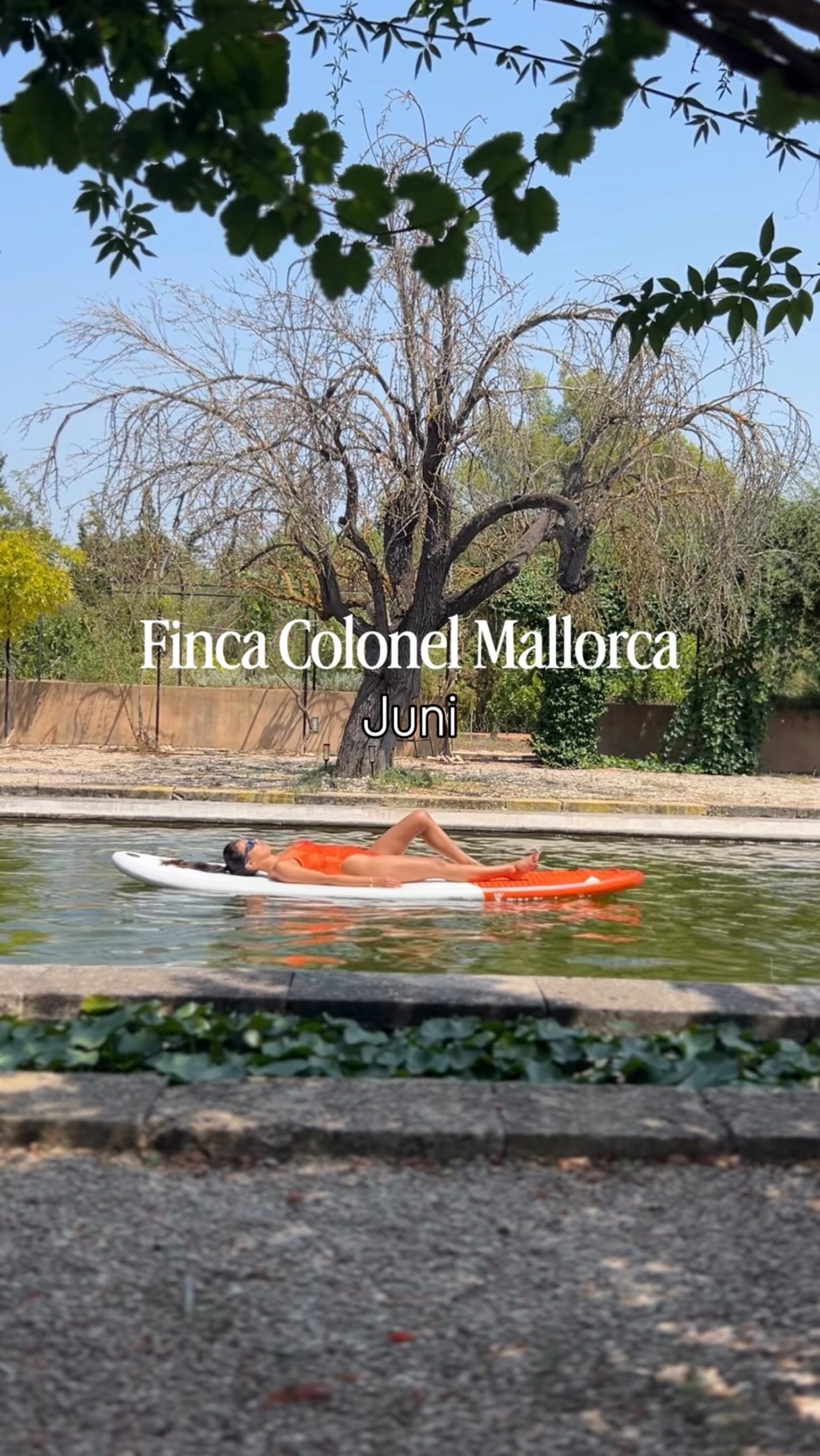 Urlaubsantrag ist raus. 😅
Finca-Urlaub auf Mallorca eben.