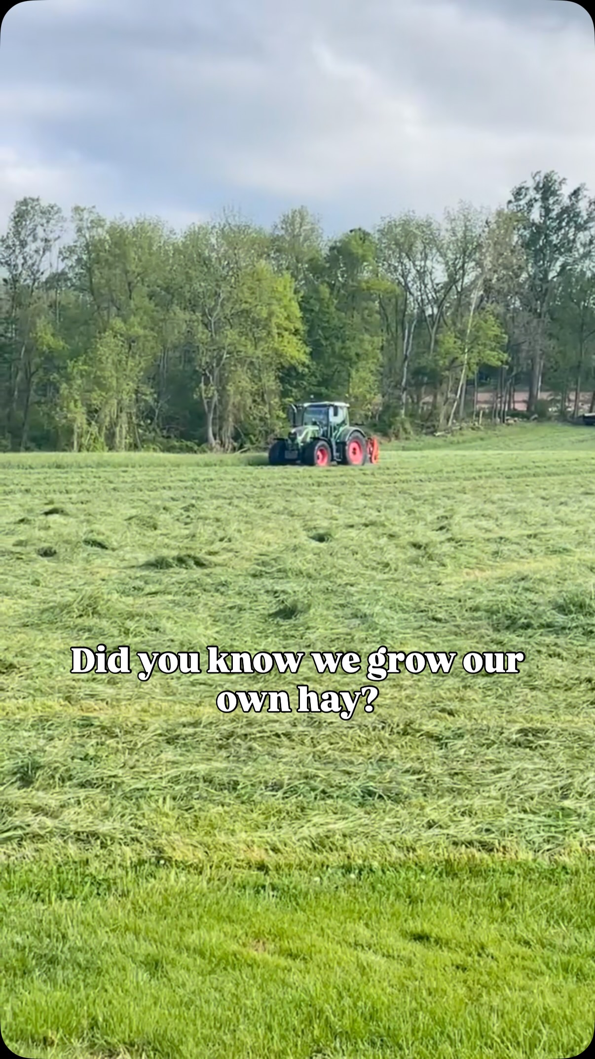 Fun Fact: We grow our own hay at Ryerss Farm for Aged Equines. 🌾🐎 From cutting to baling, every step helps feed our retired and rescued horses. #ryerss #horse #farm #hay