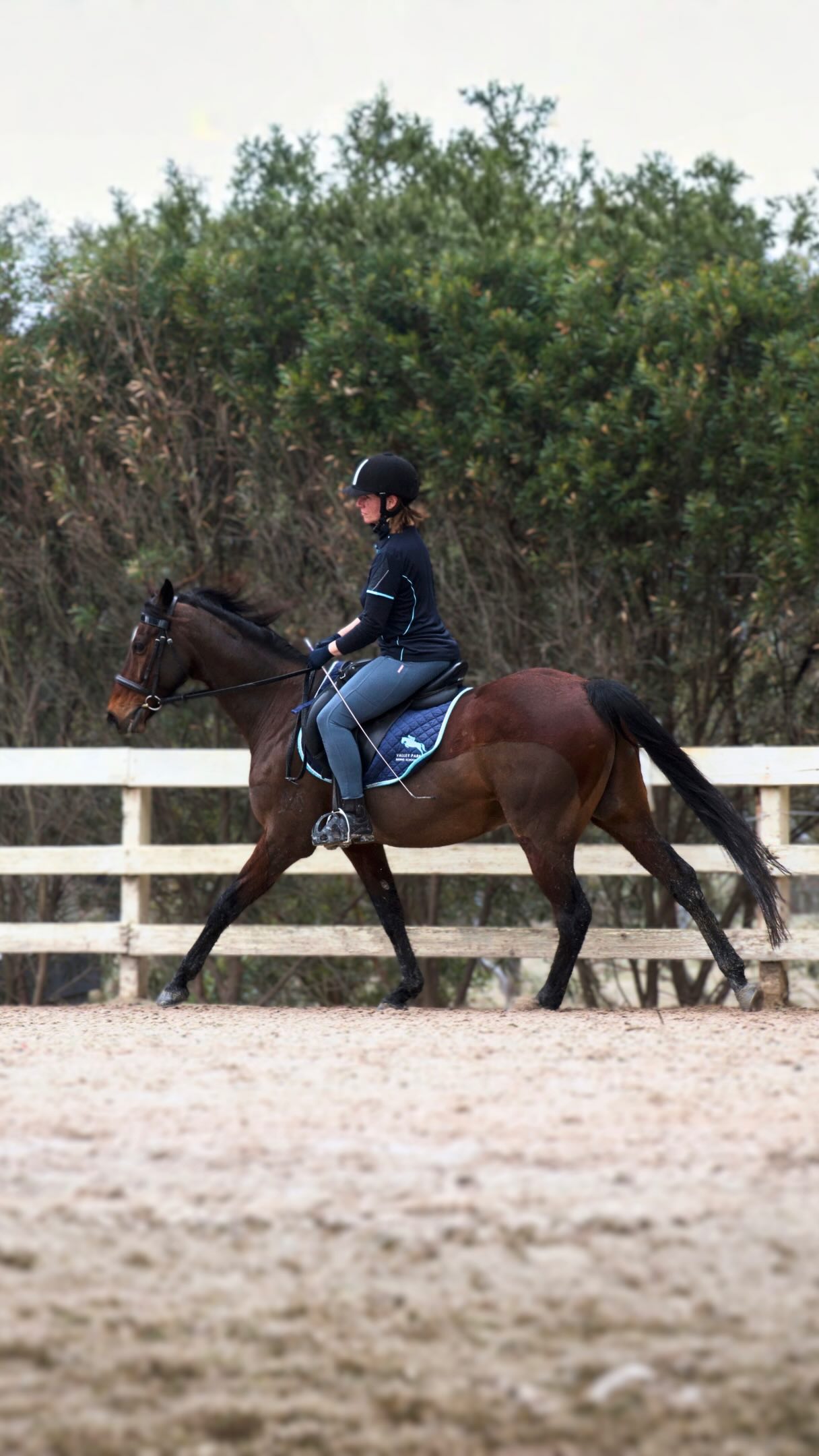 Term 3 is back and so are our riders 🐴
We asked how their first lessons went and let them answer for themselves. Turns out two weeks off doesn’t dull the enthusiasm one bit!
Horse riding lessons in Templestowe, 30 minutes from the CBD.
Last few Term 3 spots left — get in quick, link in bio.
Not sure what suits your child? Give us a call 0475 000 088
#ridinglessonsmelbourne #melbourneequestrian #horsesofmelbourne