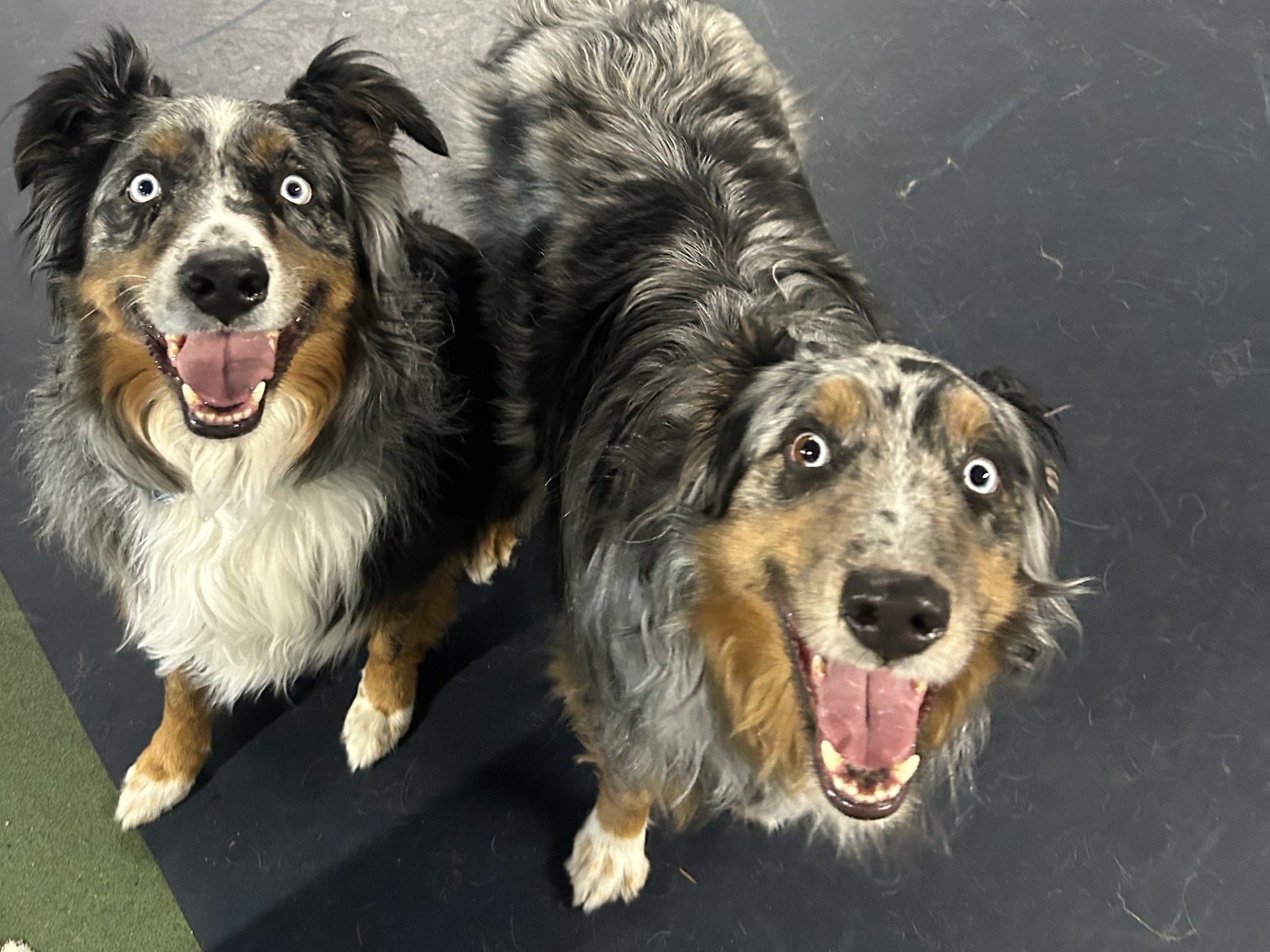 Smiling because chaos is about to happen.