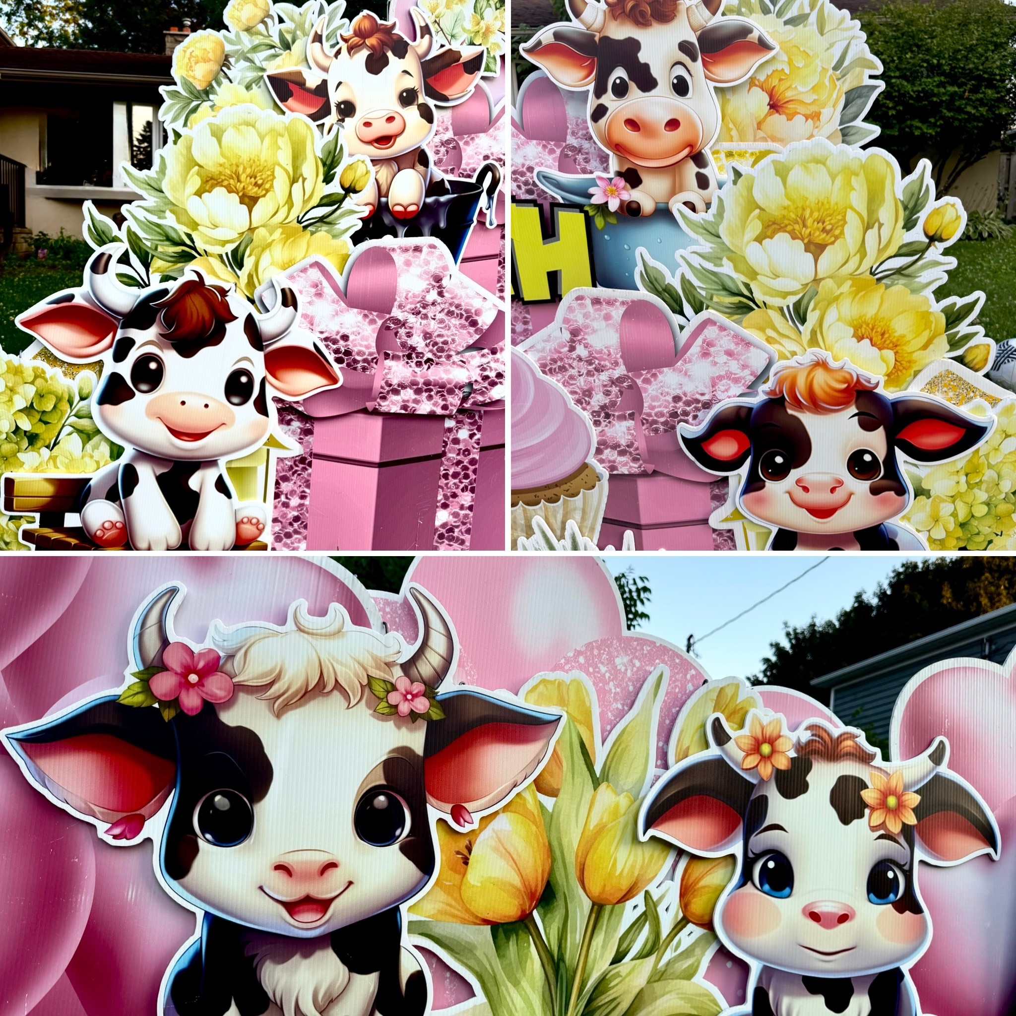 These cows! Seriously though.. how cute are they??! ๐๐๐ฎ๐
Cheers to 40 years Sarah!! Hope you had a fabulous birthday! ๐ผ๐
www.nadinenoelledesign.com
#lawnsignrental #ancasterontario #hamilton #burlington #nadinenoelledesign cows