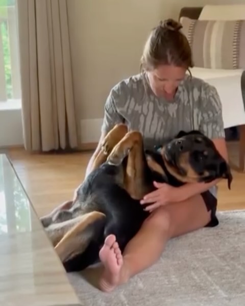 This is why we do this 🙏
Boone boarded one of our flights back in June and getting updates of his new life & family @caslyn_ reminds us why each life counts.
He loves his new brother Cash 🥲
Wings of Rescue transports dogs & cats from overcrowded shelters to a new amazing life.
This also frees up the shelter to help other urgent dogs.
Stayed tuned for our upcoming flights this week.
We love you Boone and nothing makes us happier than seeing this.
#LetTheFurfly #wingsofrescue #rottie #rottielife #dogsarefamily
