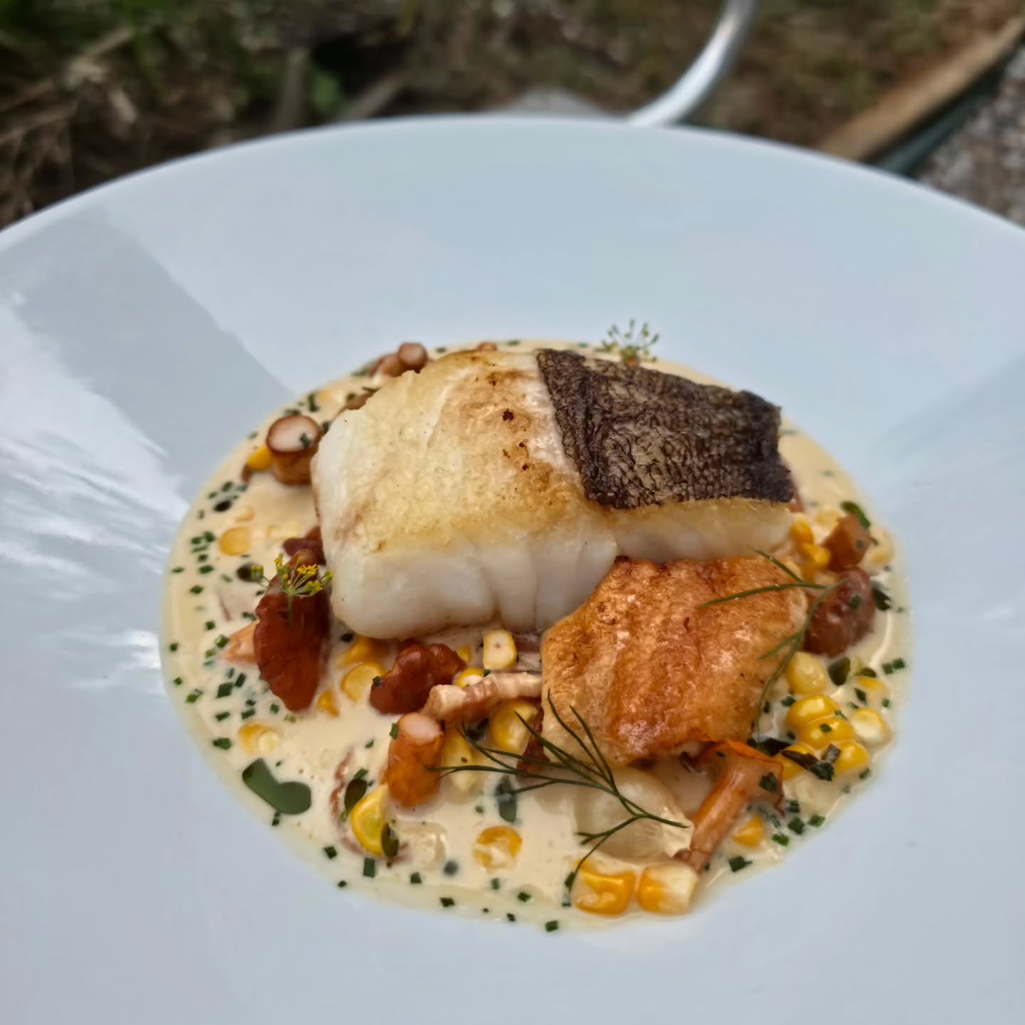Fish special this week...
Roast cod loin, confit chicken wings (boneless of course), girolles, sweetcorn, bacon 🥓 😋 👌