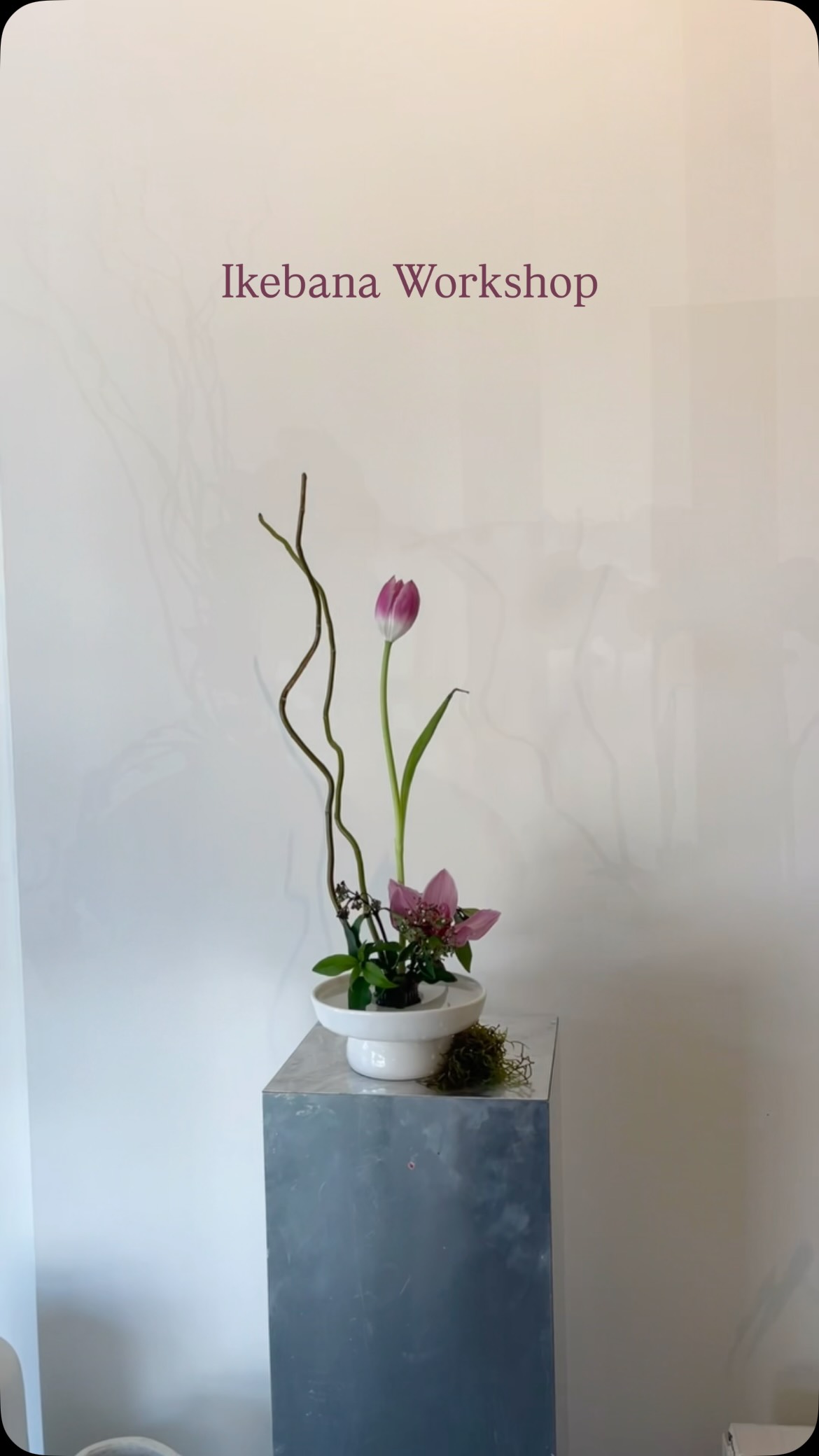 August ikebana workshop releasing soon 👀
Let’s do nothing together 😉🌷
#Ikebana #flowers #workshop #explore #auckland