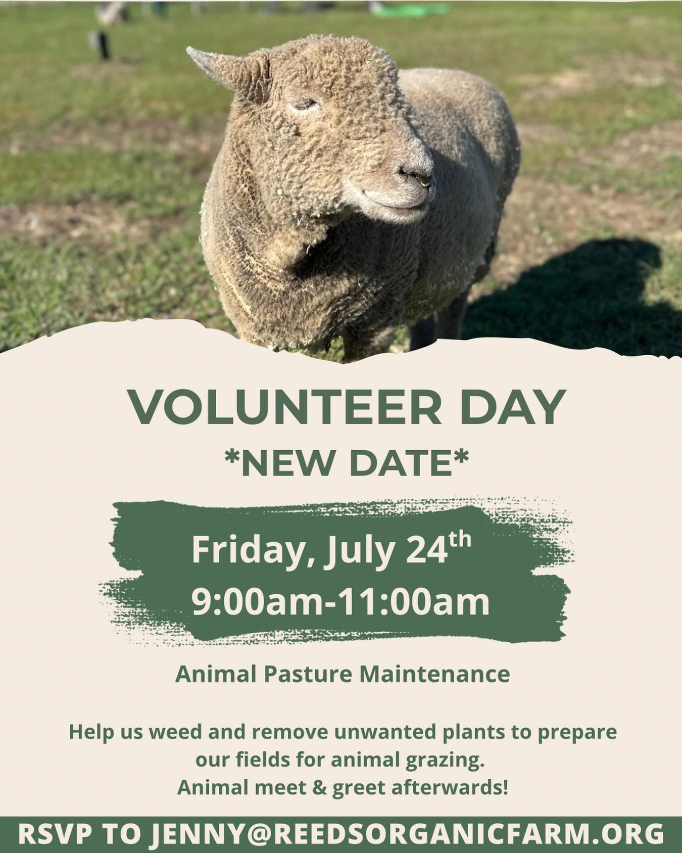 Due to the heat, our volunteer day this Friday the 17th has been postponed. The new date is Friday, July 24th! 🐑
Please wear closed toed shoes, high socks, and pants. Please bring sun protective gear and water.
Volunteers receive a 15% discount in our market and a free drip coffee or tea!
Email Jenny@reedsorganicfarm.org to sign up!