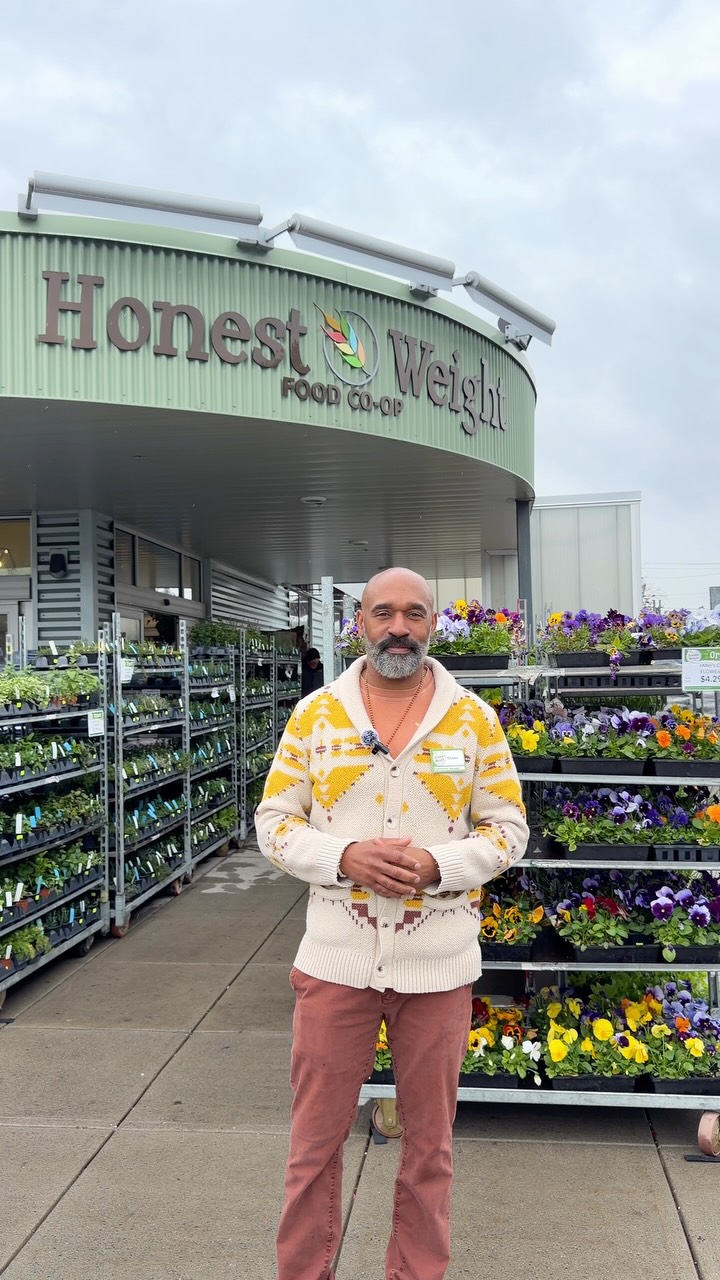 Come with us to tour Honest Weight Co-op with Shawn! He’s going to show us what makes this place so special. For example, did you know they have one of the largest bulk departments in the East Coast 👀👀👀
AND! They’re celebrating 50 years in the community this year! 🎉🎉🎉
📍Honest Weight Co-op
100 Watervliet Ave
Albany, NY 12206