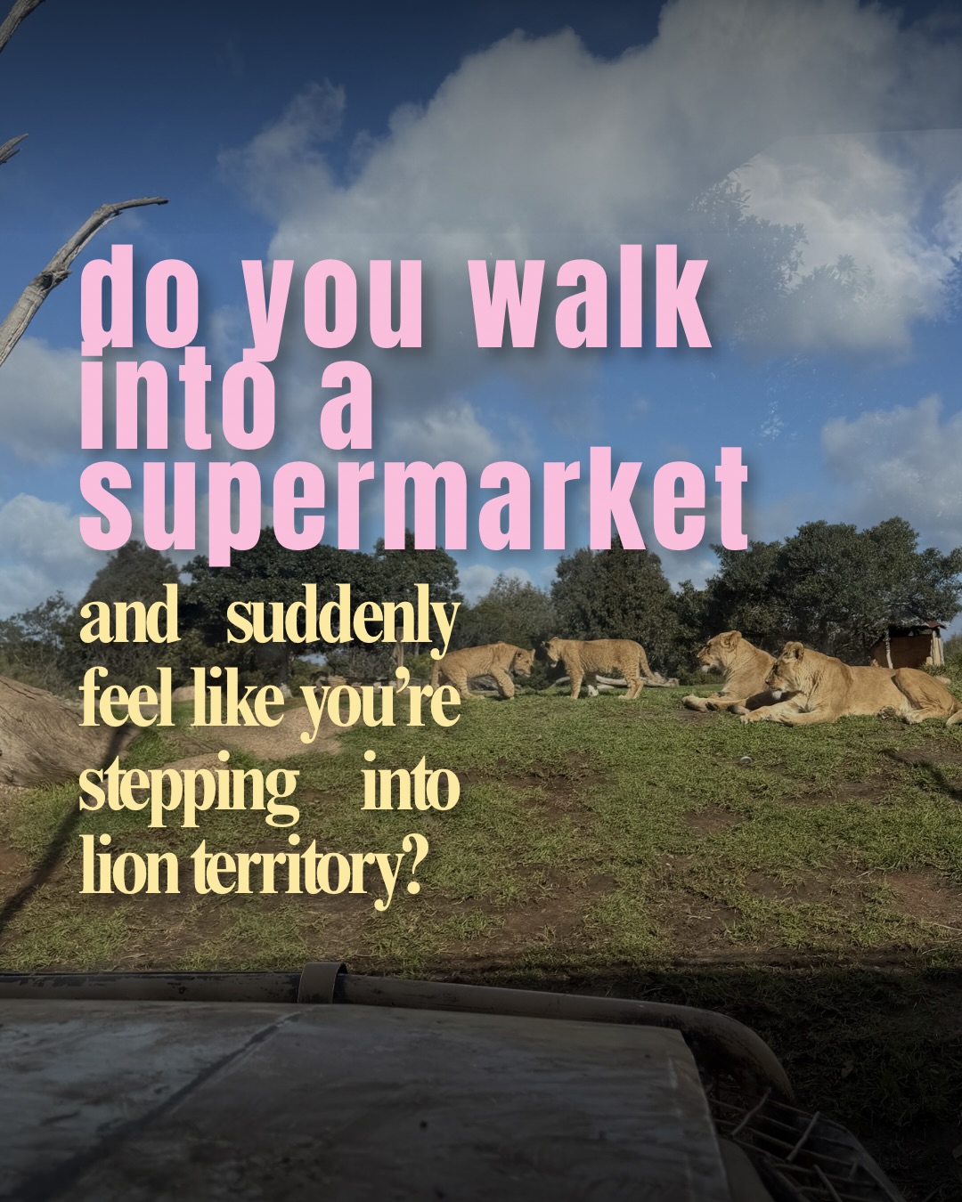 when food already feels complicated, a supermarket asks your brain to make hundreds of decisions in an environment that’s noisy, bright, expensive and unpredictable
no wonder so many people end up overwhelmed before they’ve even bought dinner!
if this sounds familiar, that’s exactly the kind of thing I help people work through 🫶🏼