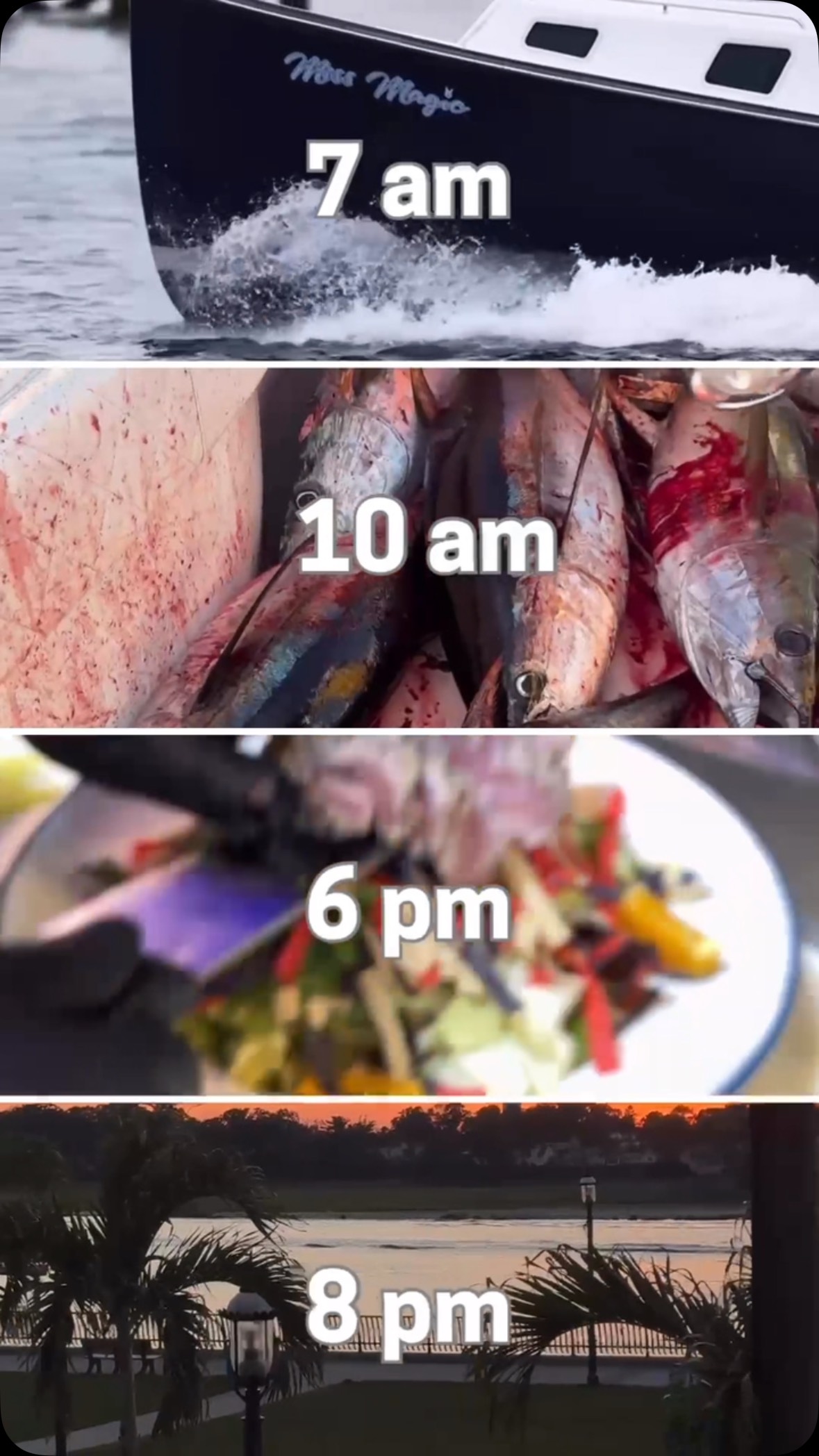 From sea to table in one day🎣🍽️
Caught fresh, prepared fresh, and served fresh to you🌊➡️🐟➡️🍽️
Stop by Burlew’s for the freshest catch and the best waterfront views🌅
#waterfrontdining #njrestaurants #seafoodrestaurant