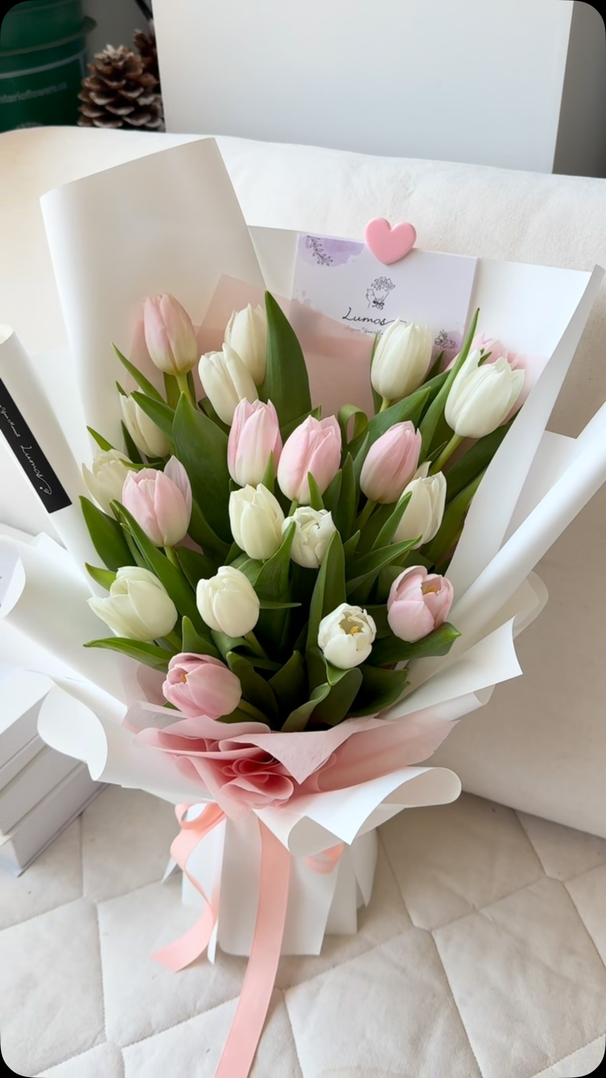 Soft Pink & White Tulip Bouquet | Toronto Florist Delivery
Minimalist korean-style tulip arrangement in dreamy pink and white shades, finished with soft pink ribbon and tiny heart note. Ideal sweet gift for all lovely occasions. We are local Toronto flower shop with delivery across the city.
#TorontoFlowerShop #TorontoFlowerDelivery #PinkWhiteTulips #TorontoGifts #MinimalistBouquet