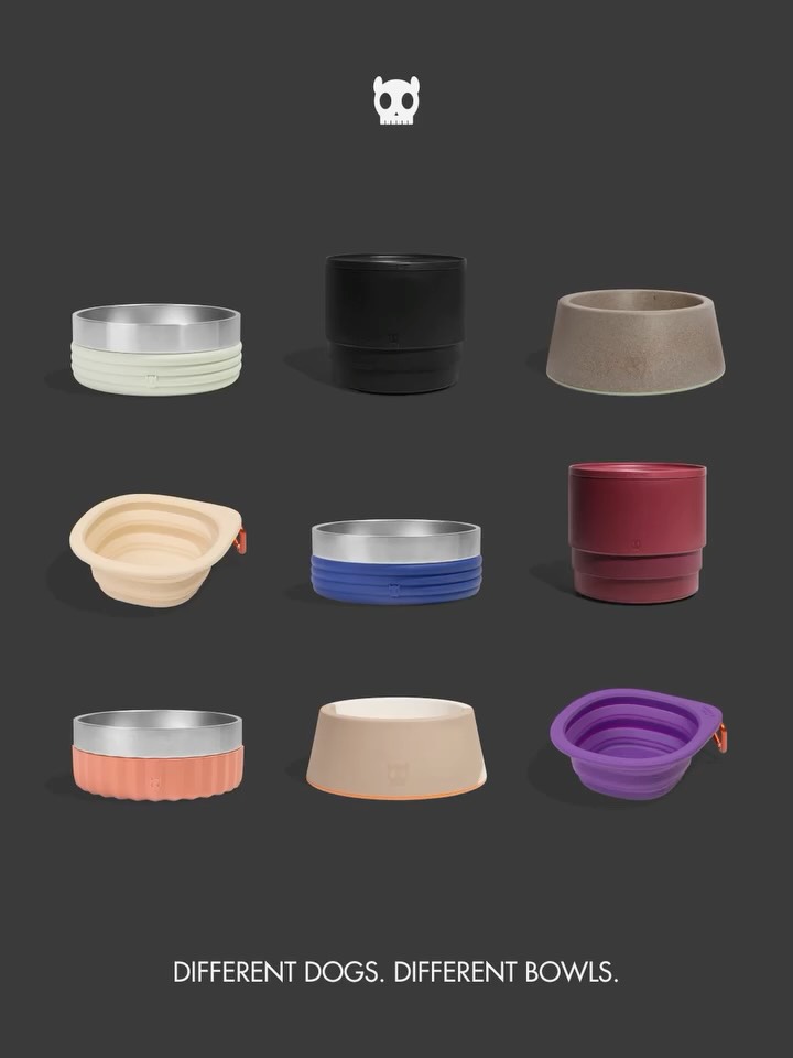 A Zee.Dog bowl for every dog.
#zeedog #connectingdogsandpeople #singapore
