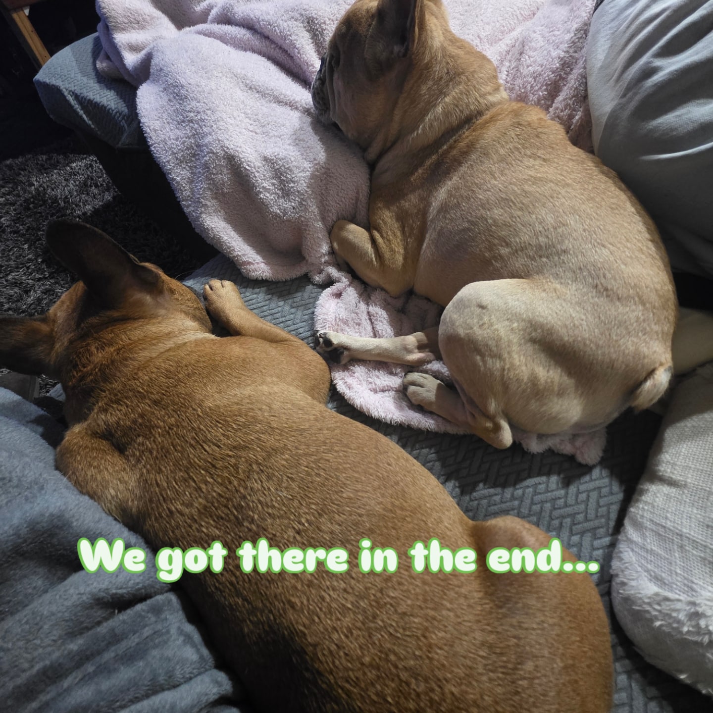 And... snoooooozeee...
@leeroy_and_lenny